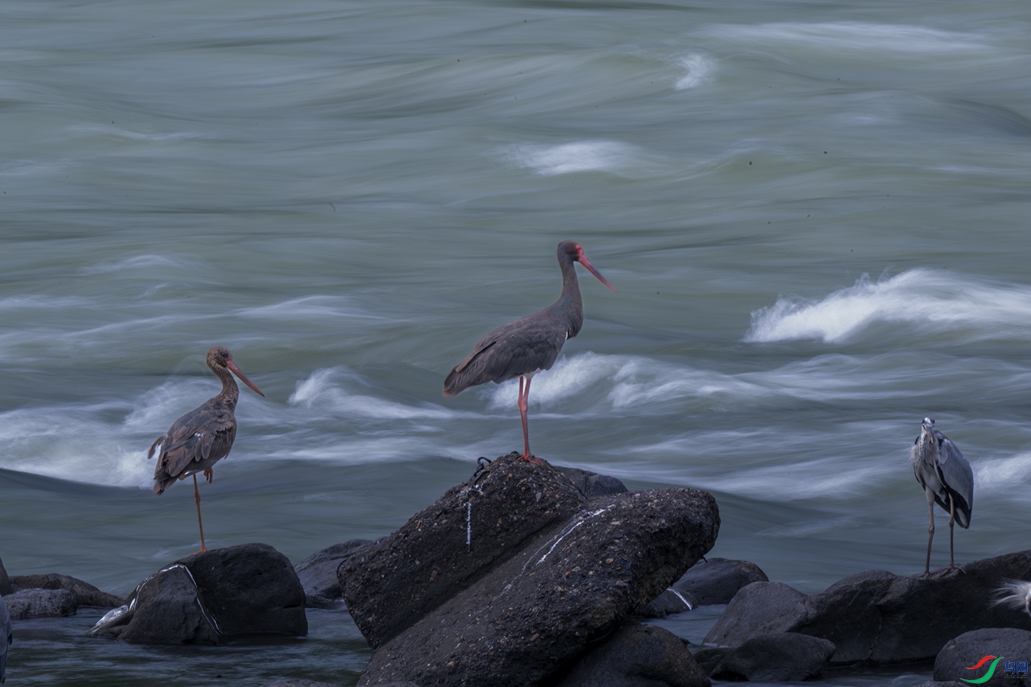 DSC_3946.jpg