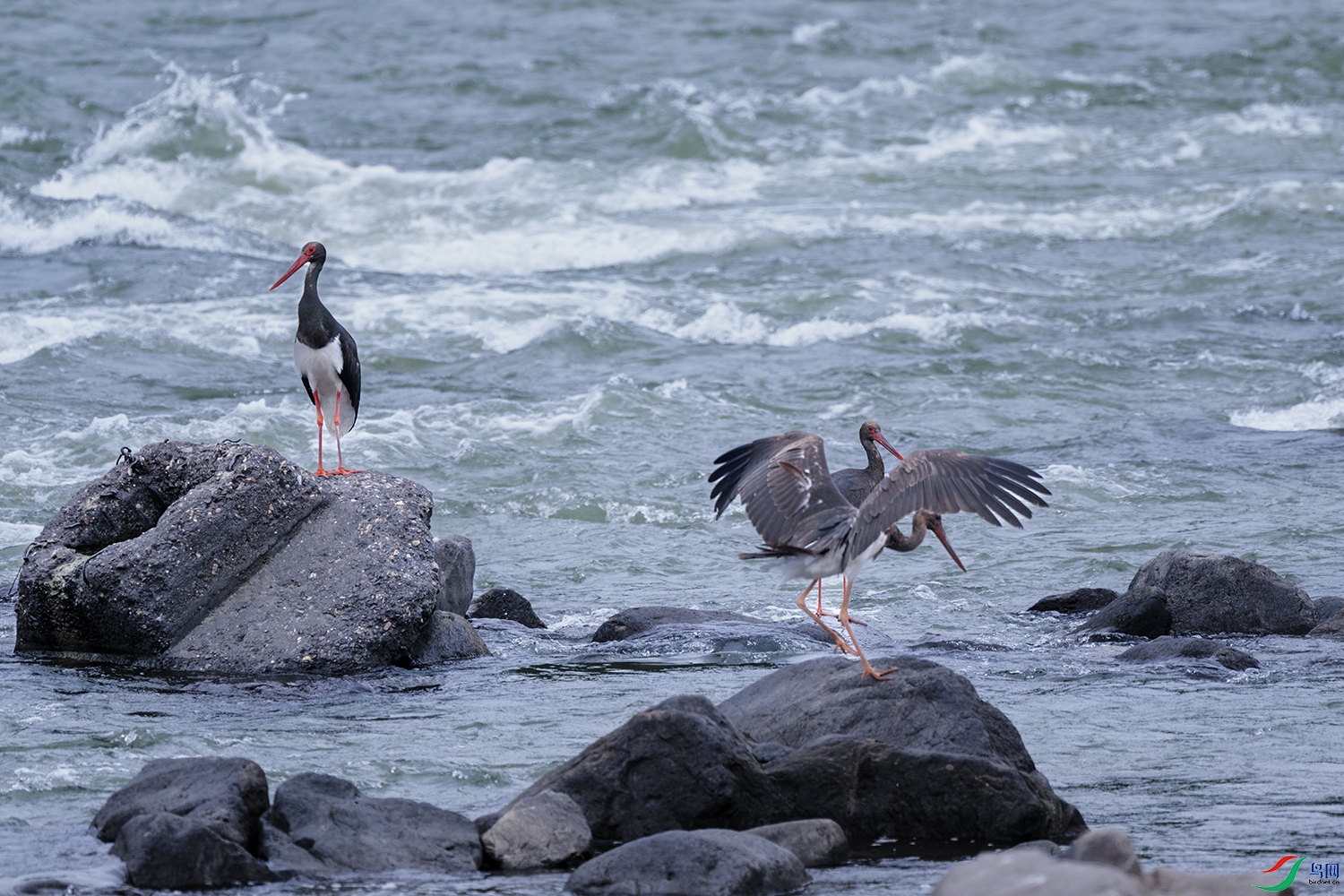 DSC_1822.jpg