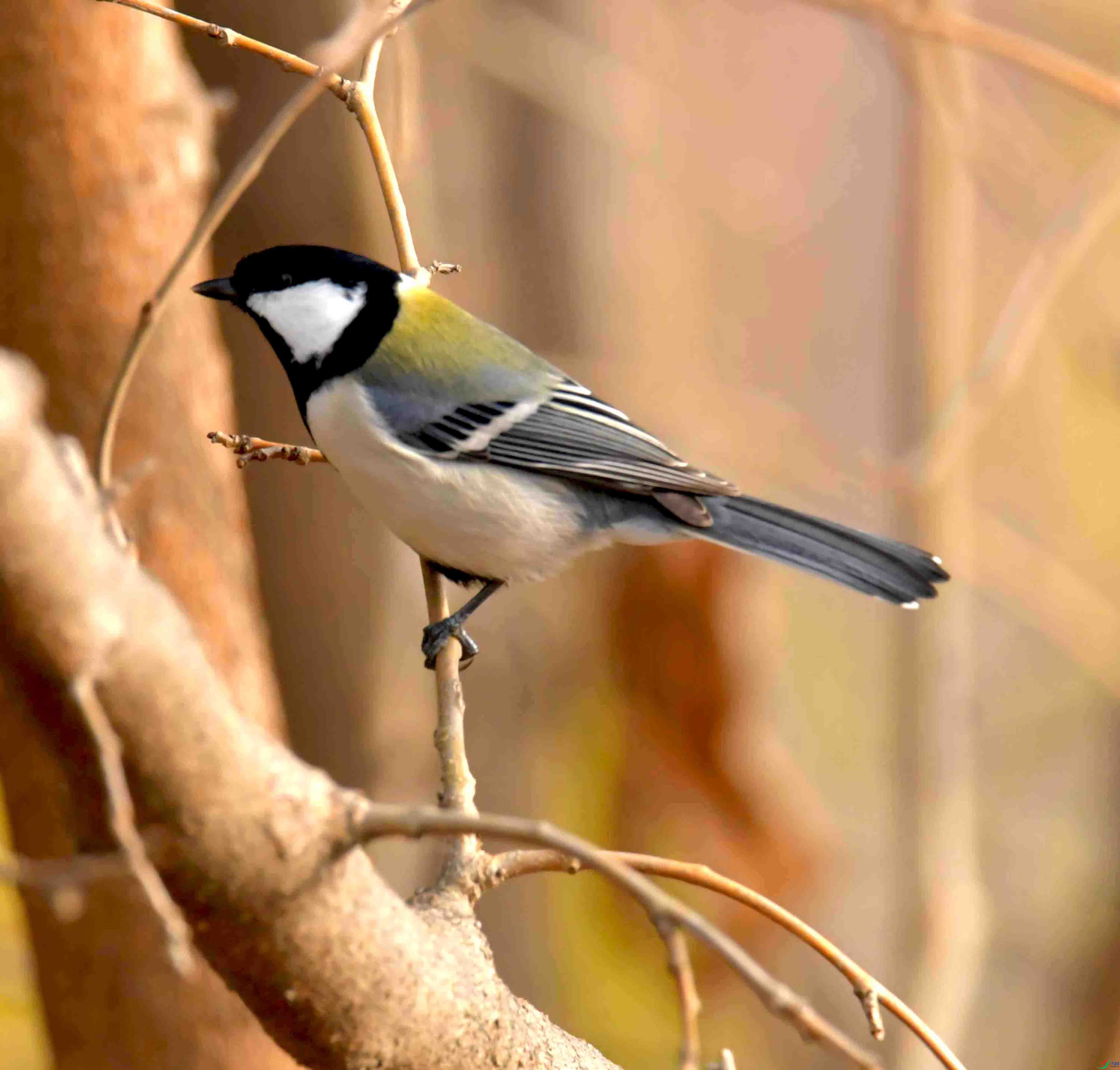 DSC_2031.JPG