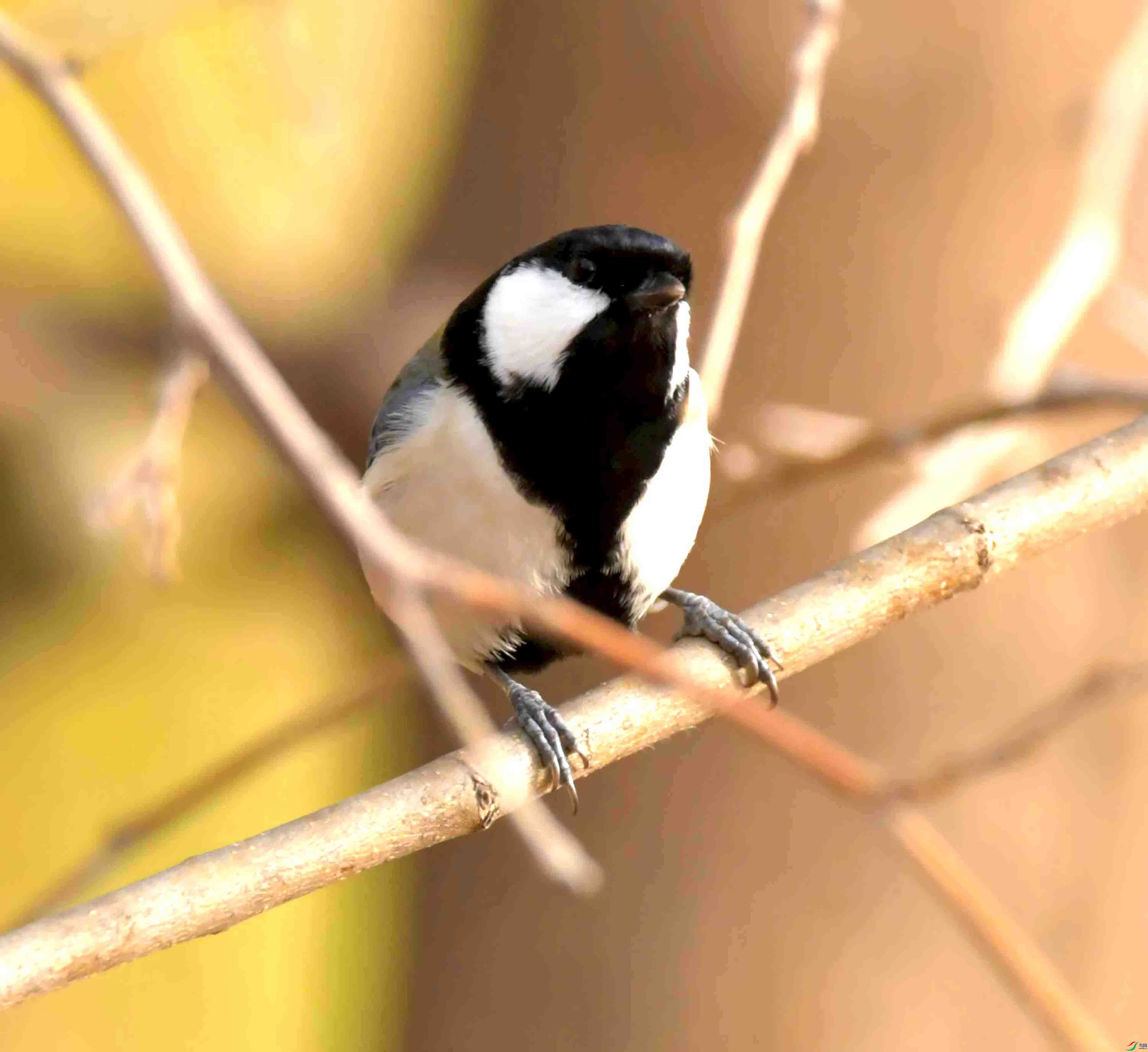 DSC_2047.JPG