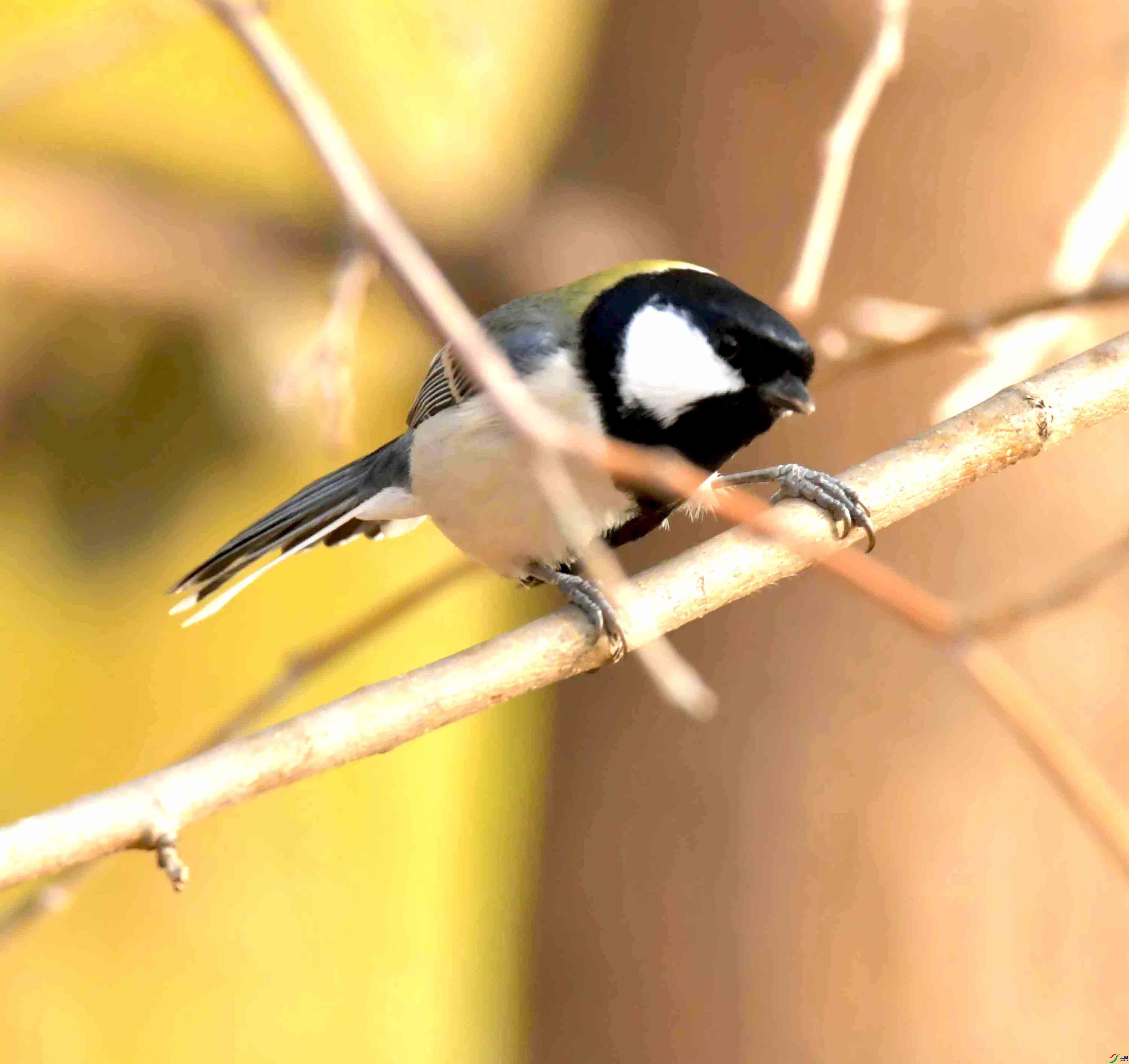 DSC_2048.JPG