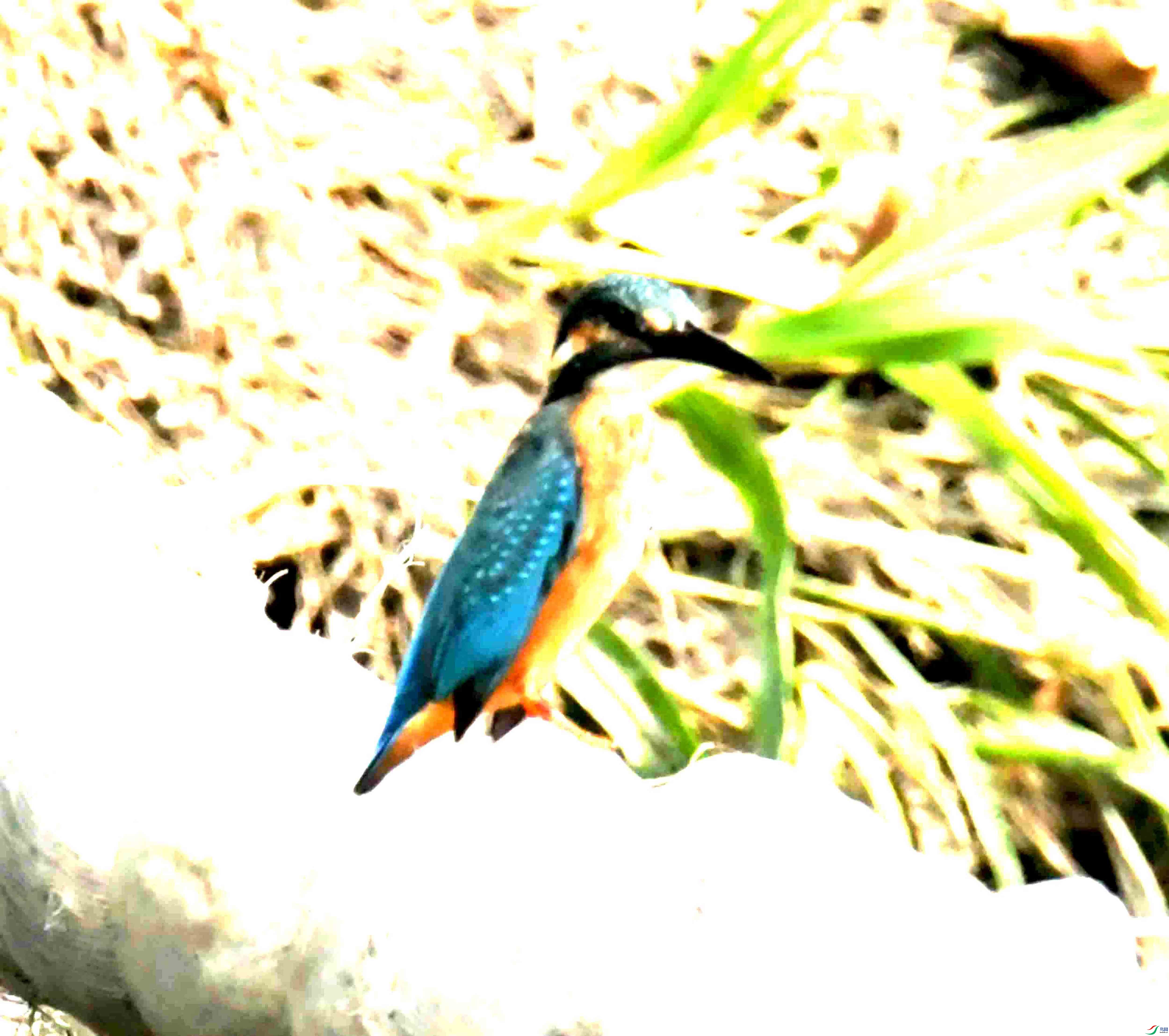 DSC_2359.JPG