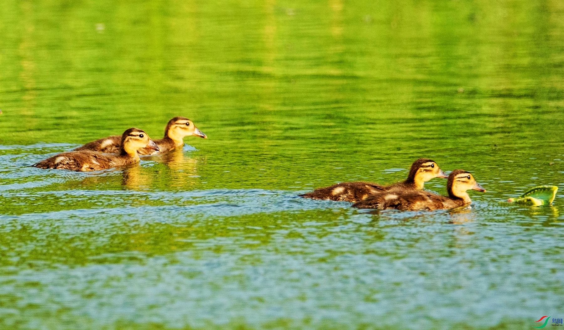 �Ұְ� (3)_����_����_����.jpg