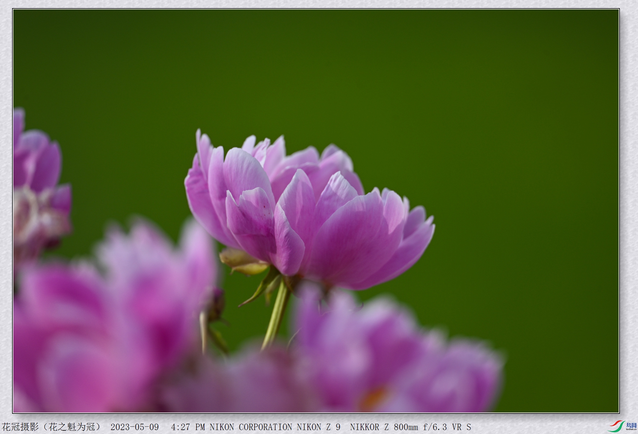 DSC_3042B-1_����.jpg