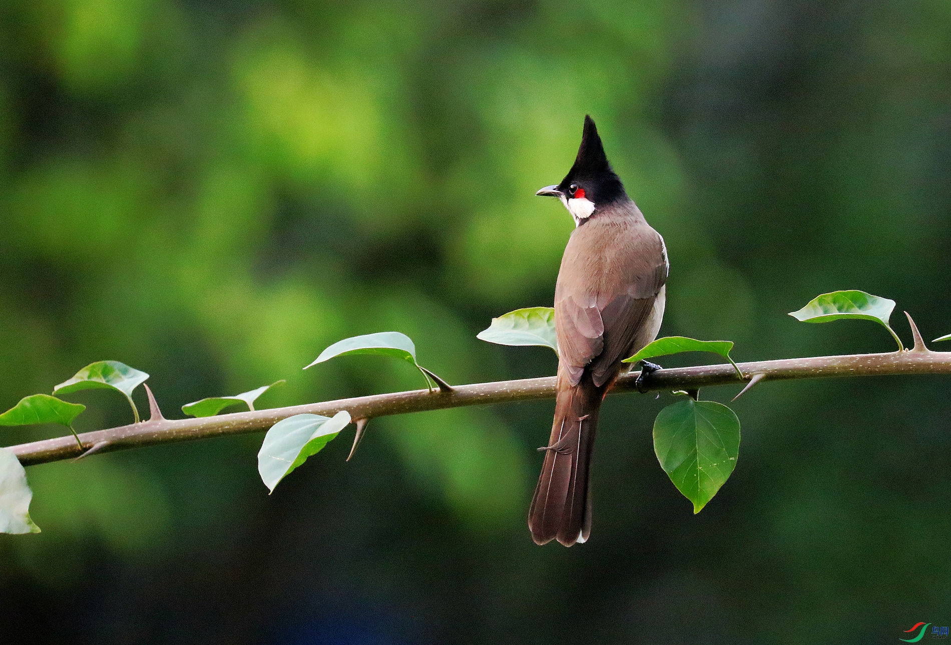 ��Ŀ����