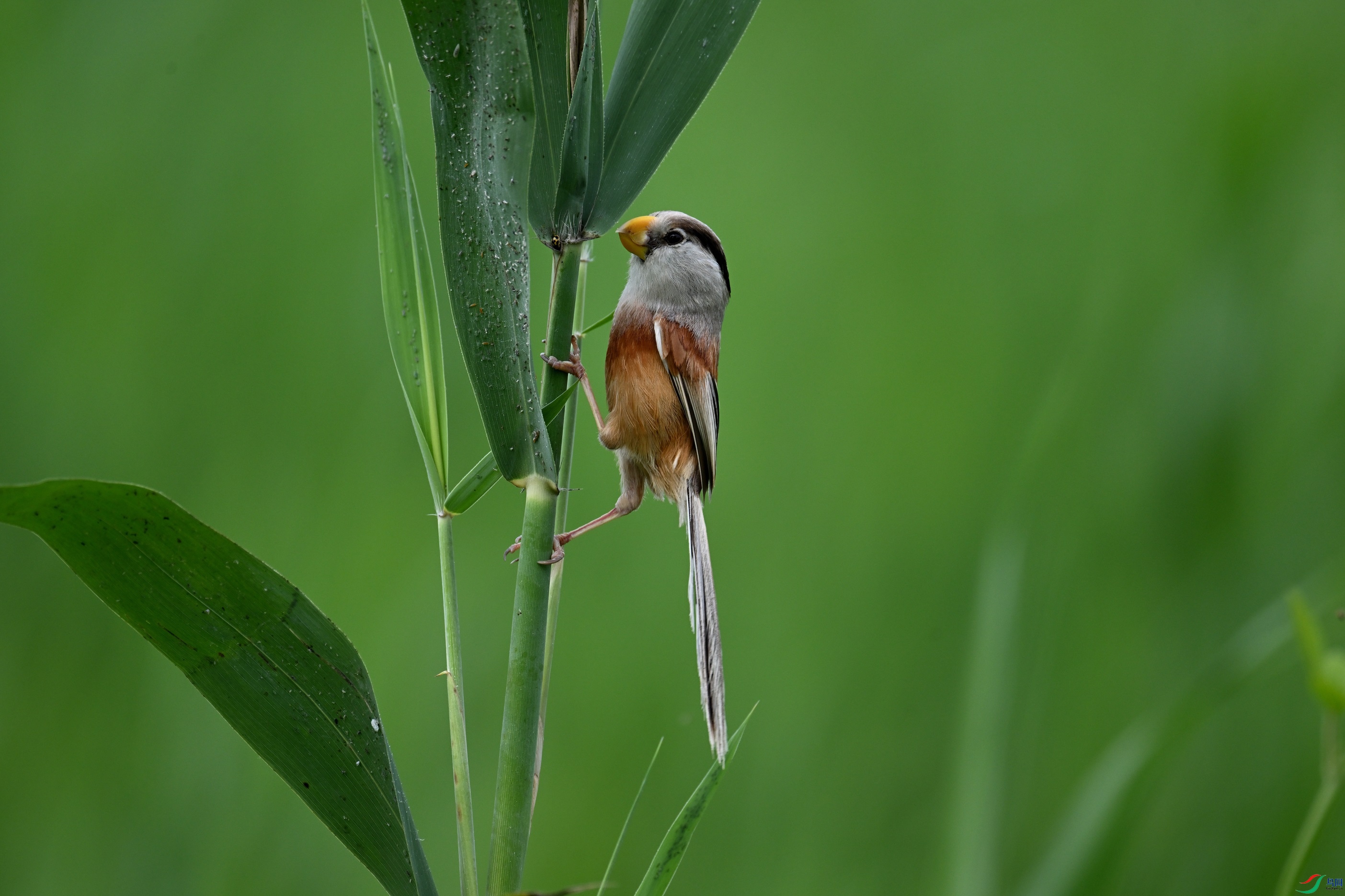DSC_7641.JPG