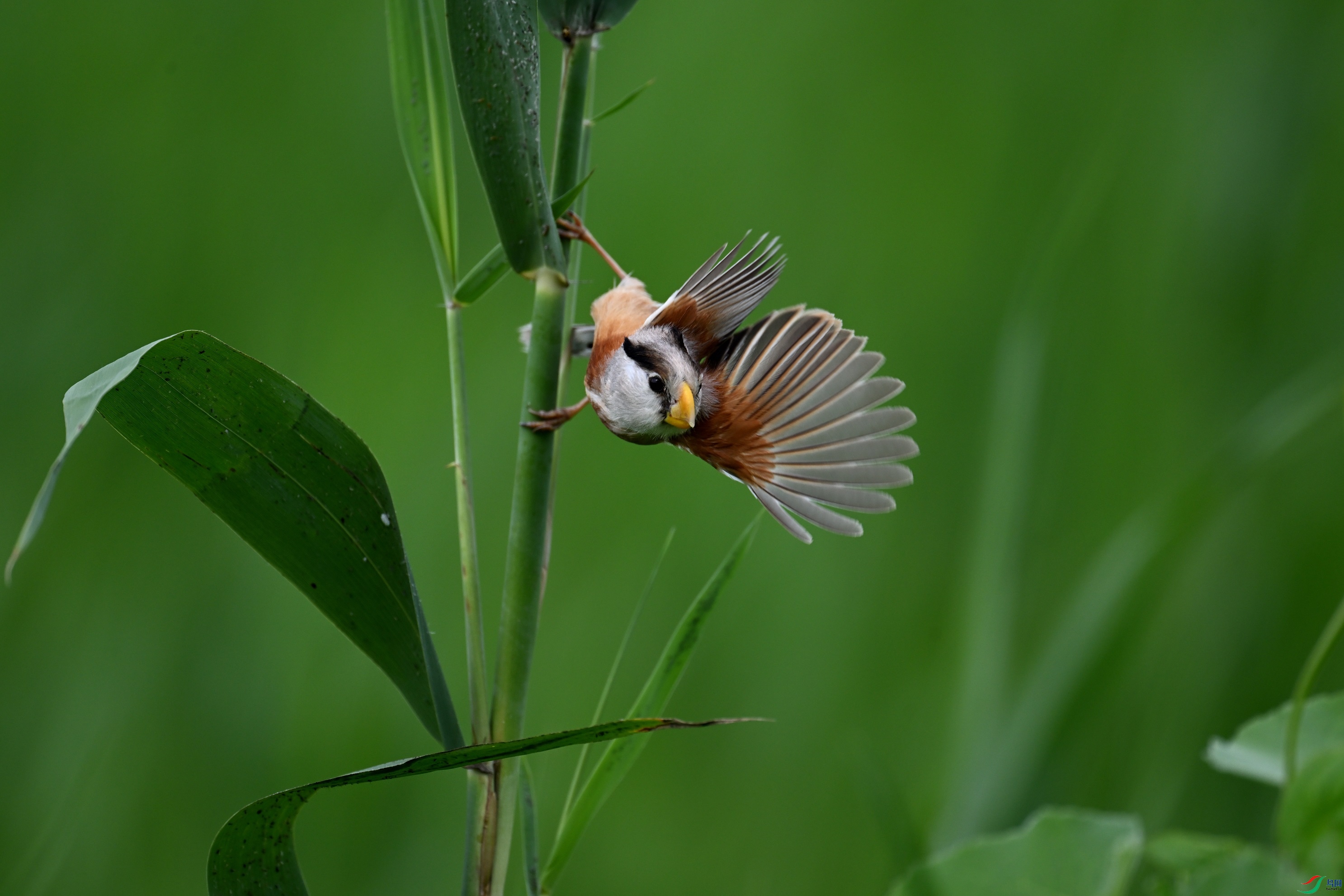DSC_7664.JPG