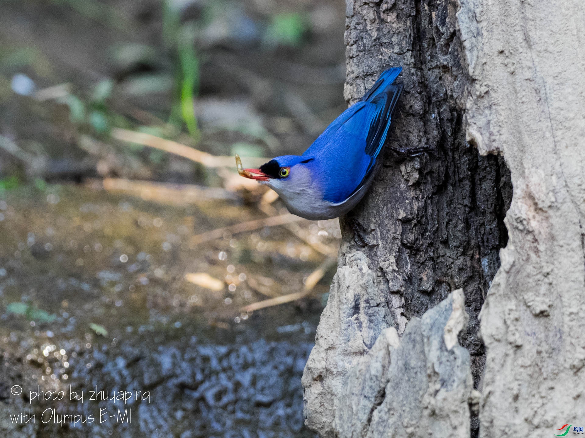 _1250354.jpg