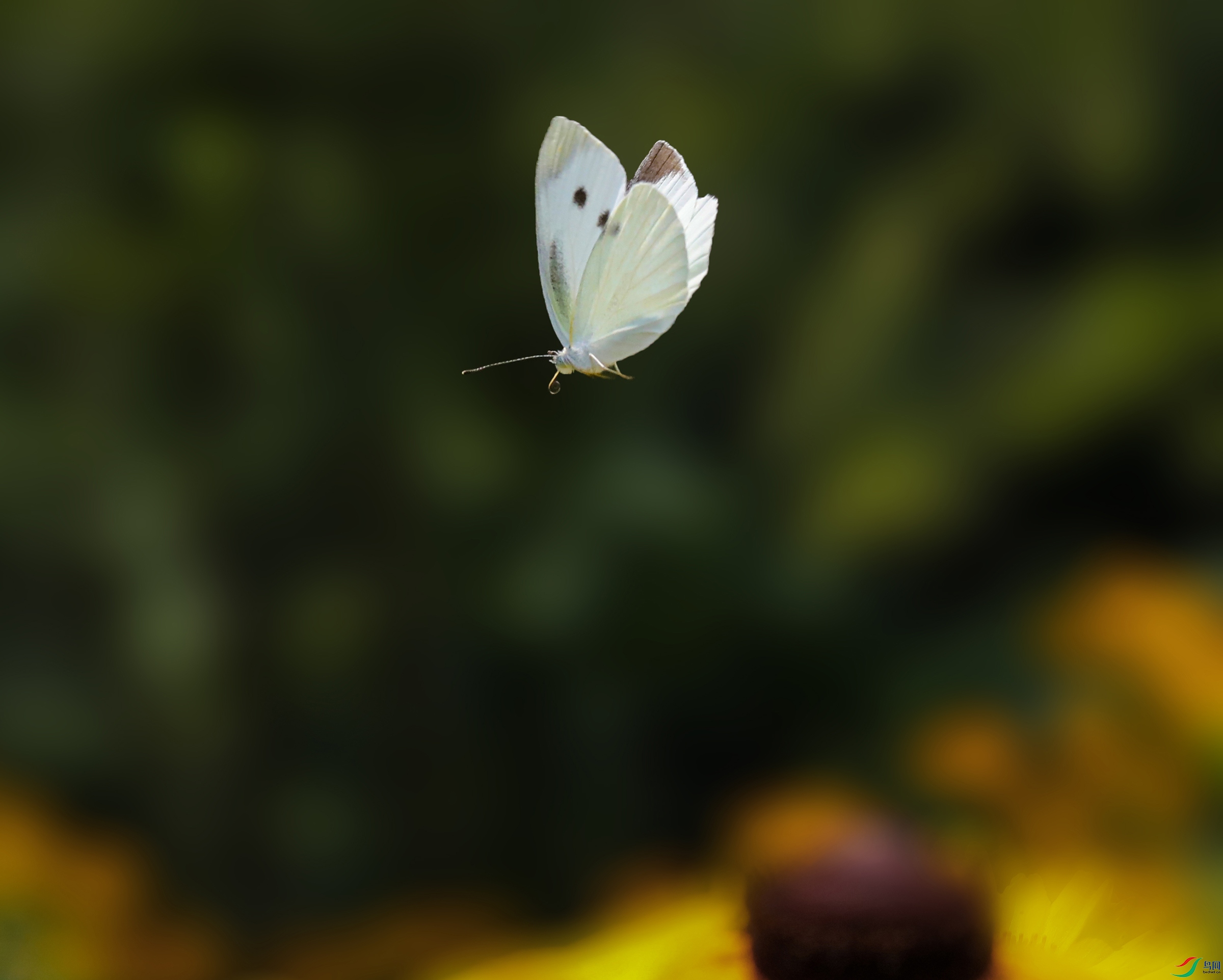 0000IMG_2598 ����1000k.jpg