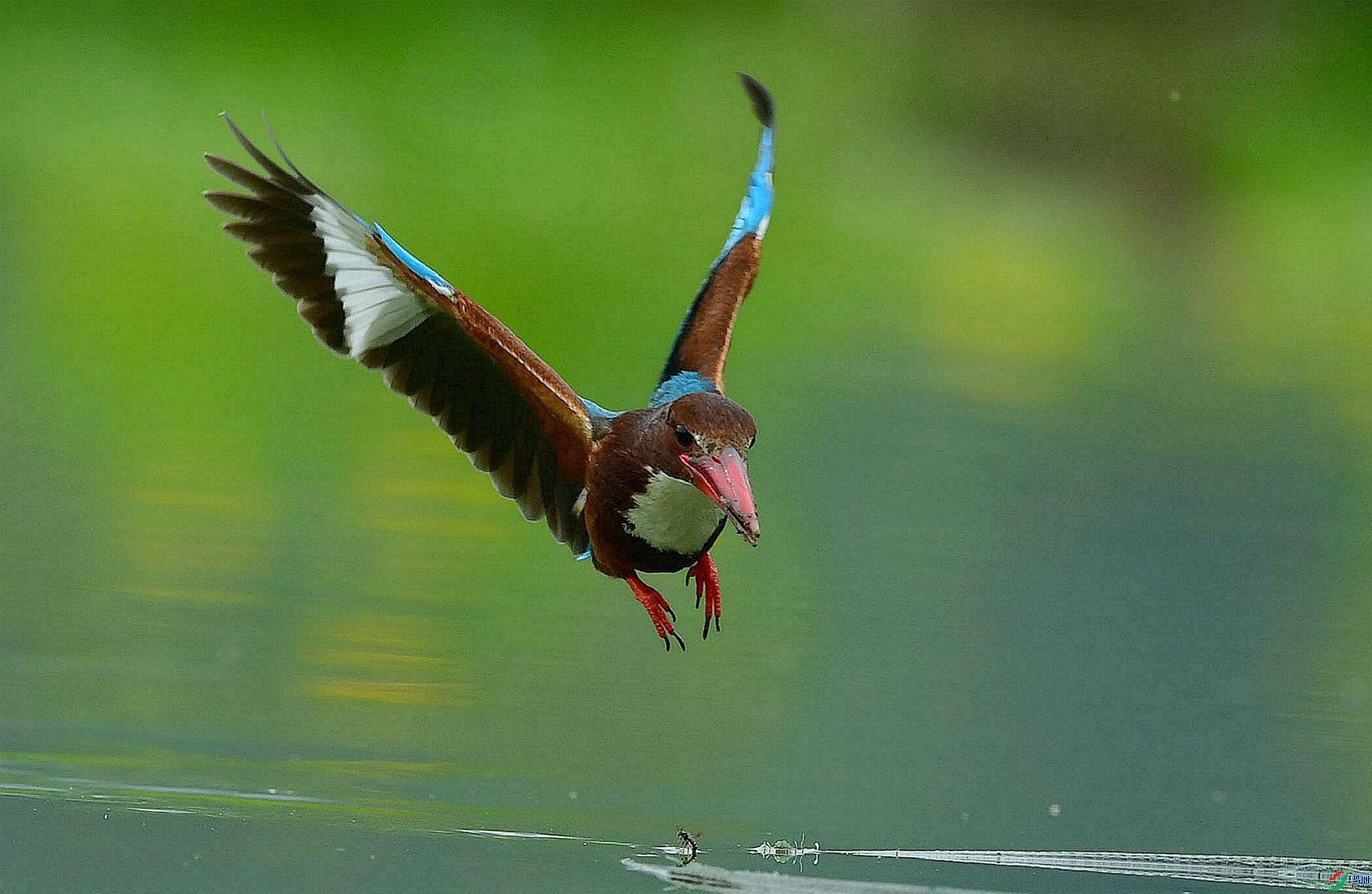 ���������