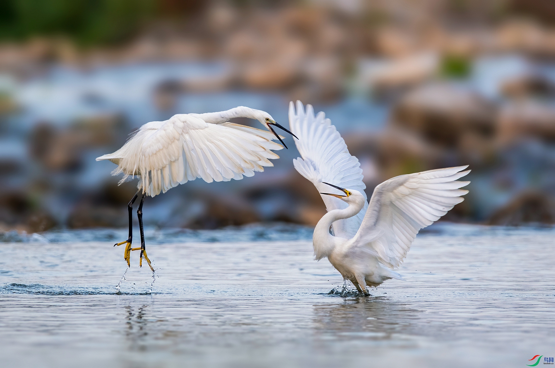 DSC_8947 ����_����.jpg