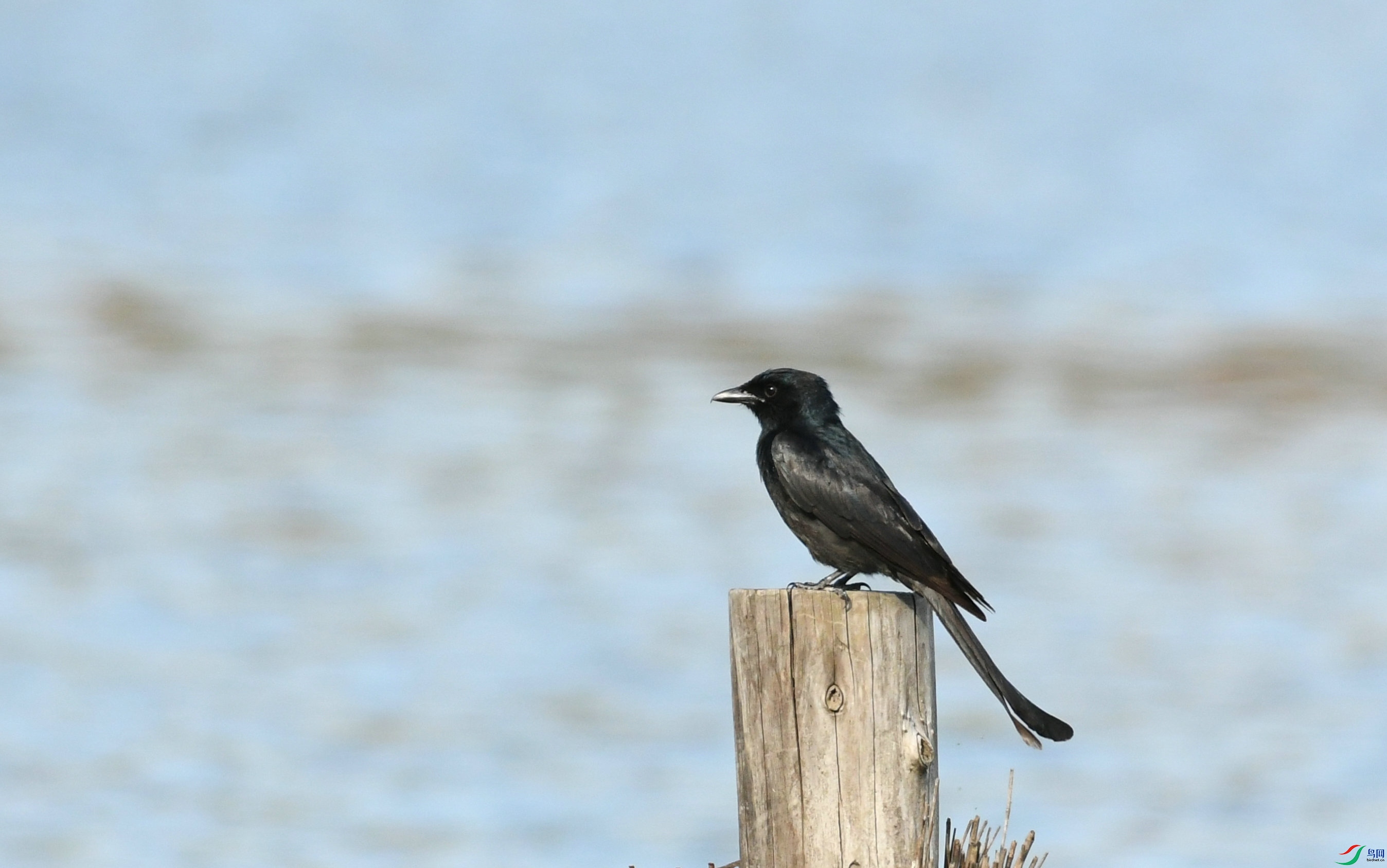 DSC_4711.JPG
