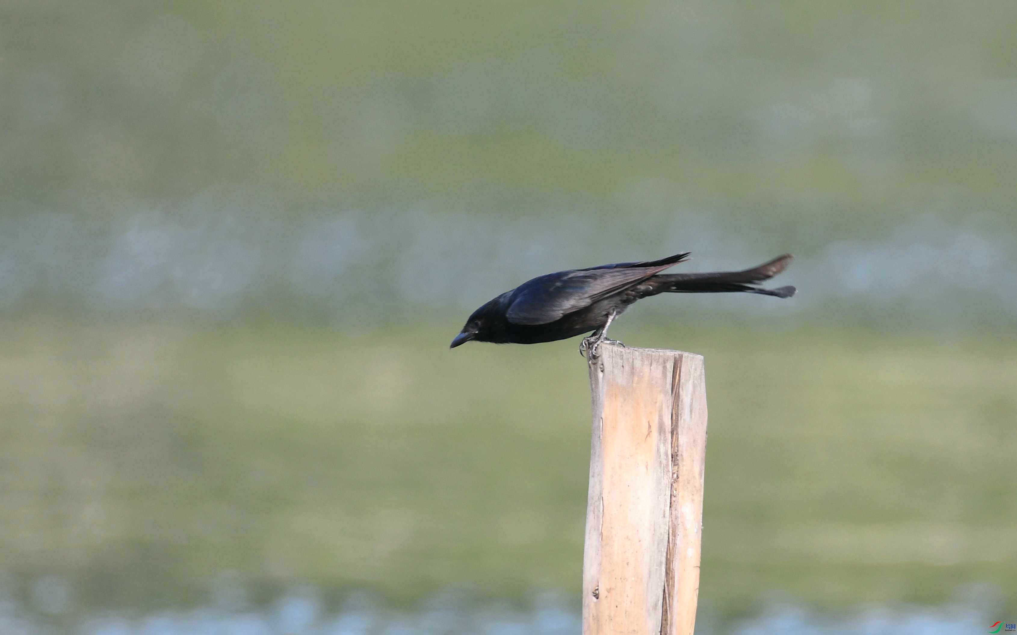 DSC_4705.JPG