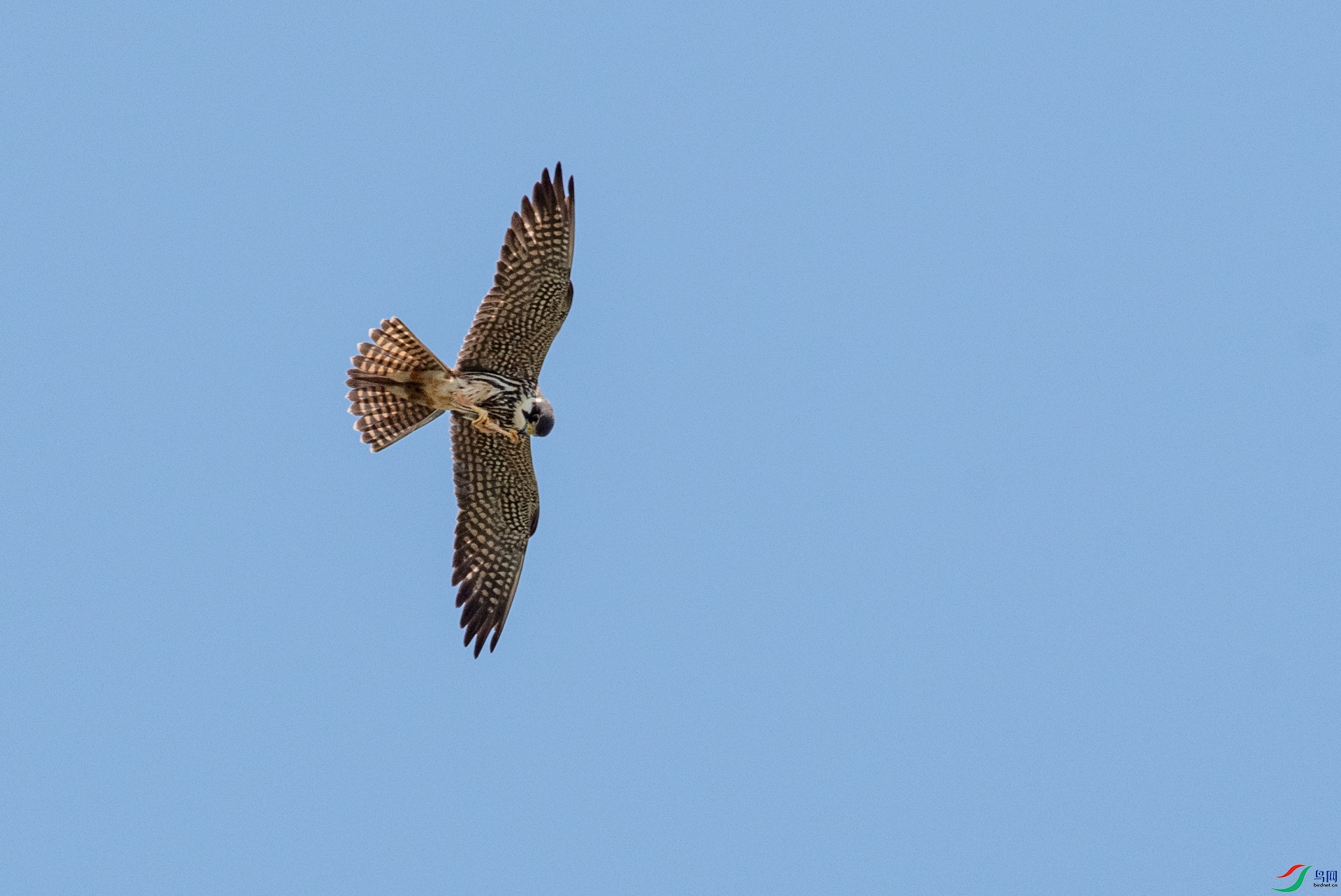 DSC_9839.jpg