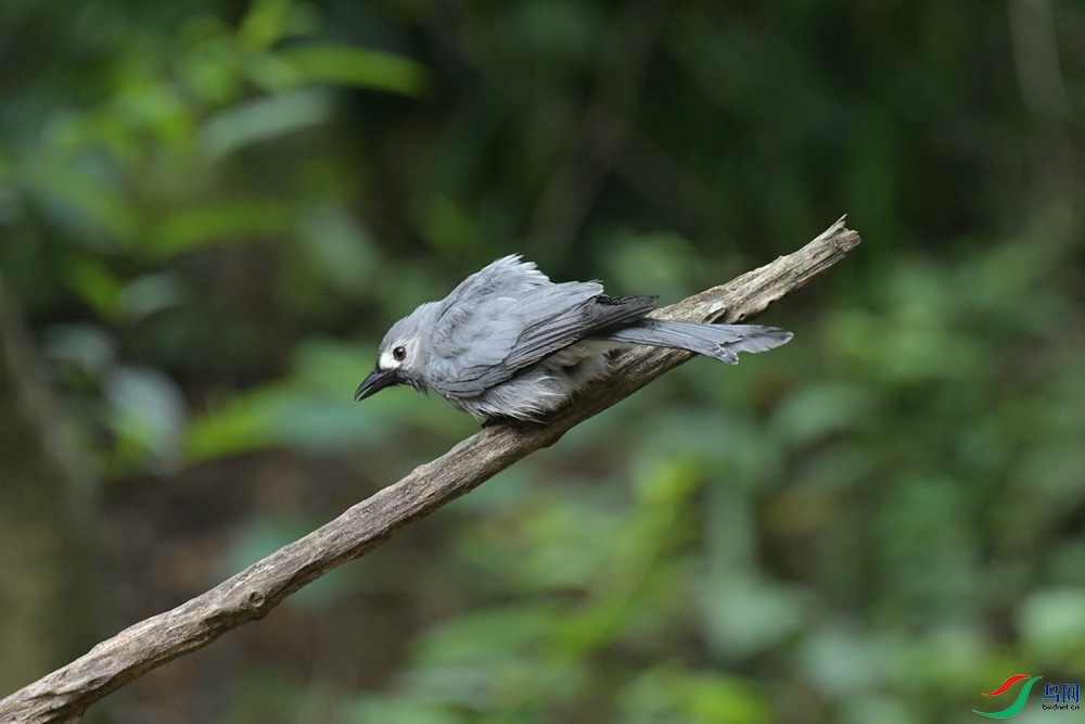 DSC_5993_����.jpg