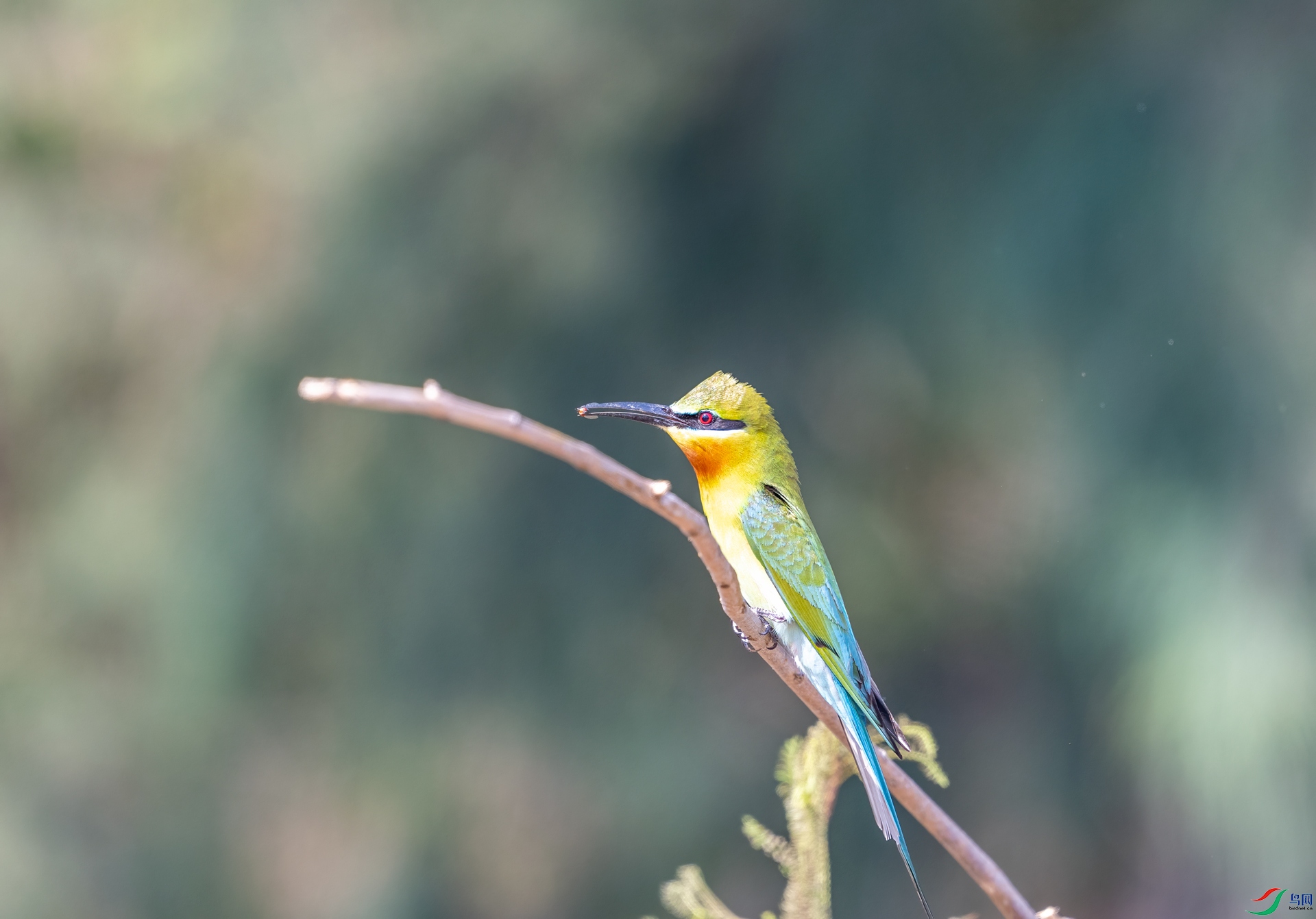 DSC_0076.jpg
