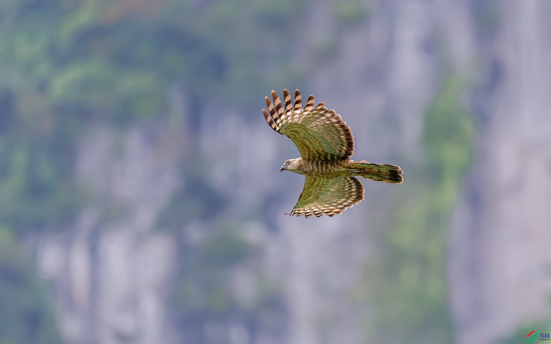 _DSC7595.jpg