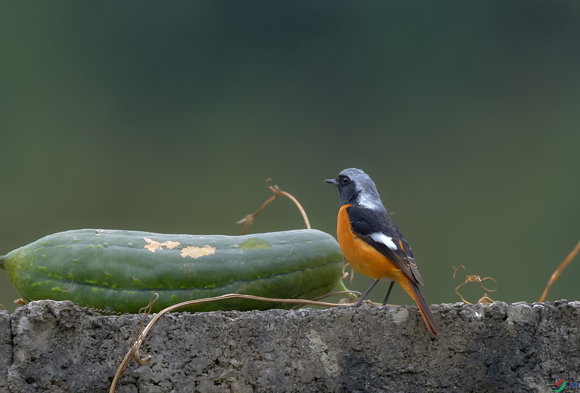 DSC_3762.JPG