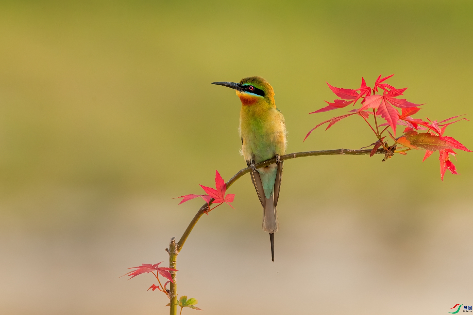 B86I6831 _����.jpg