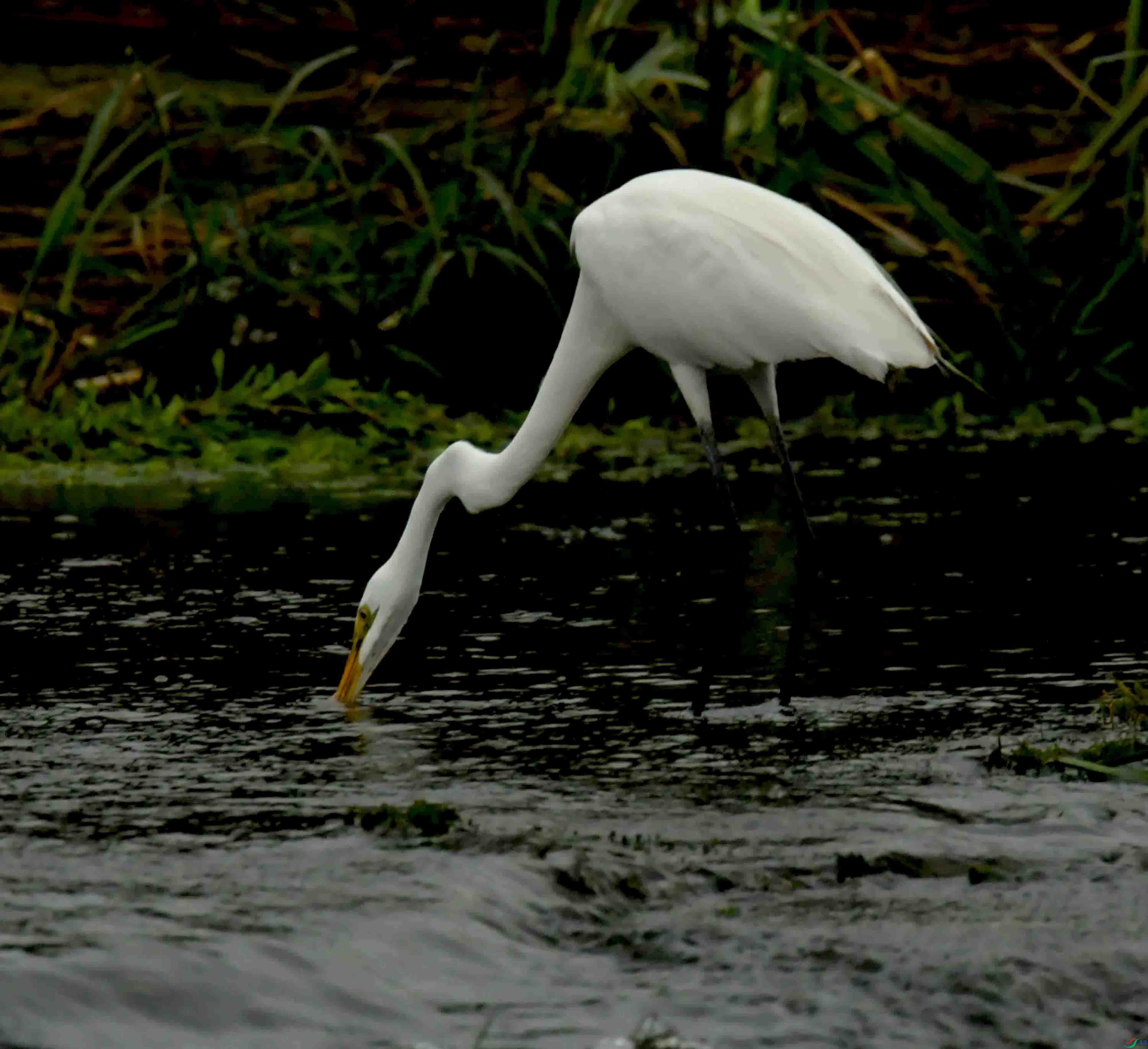 DSC_3793.JPG