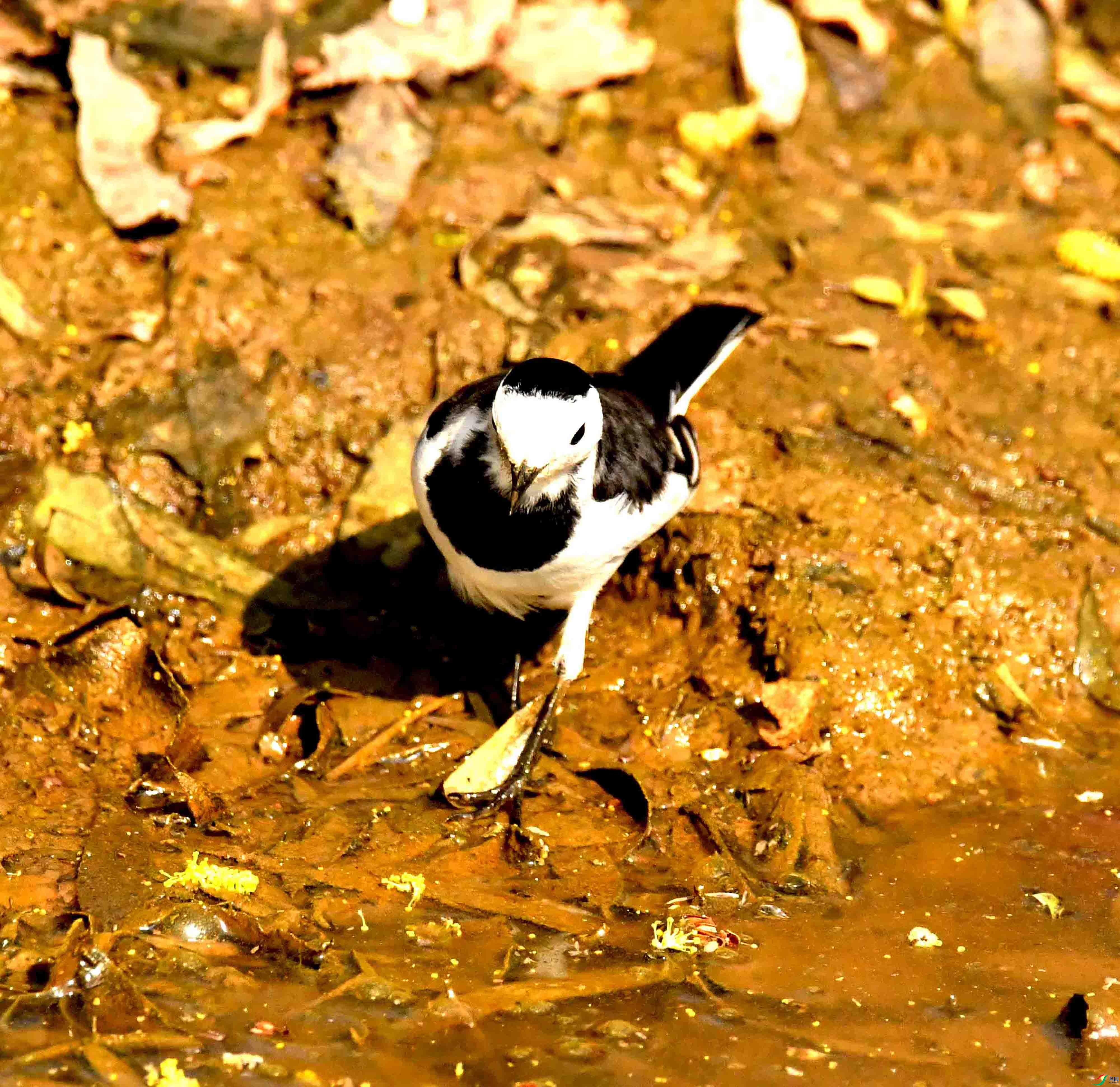 DSC_2047.JPG