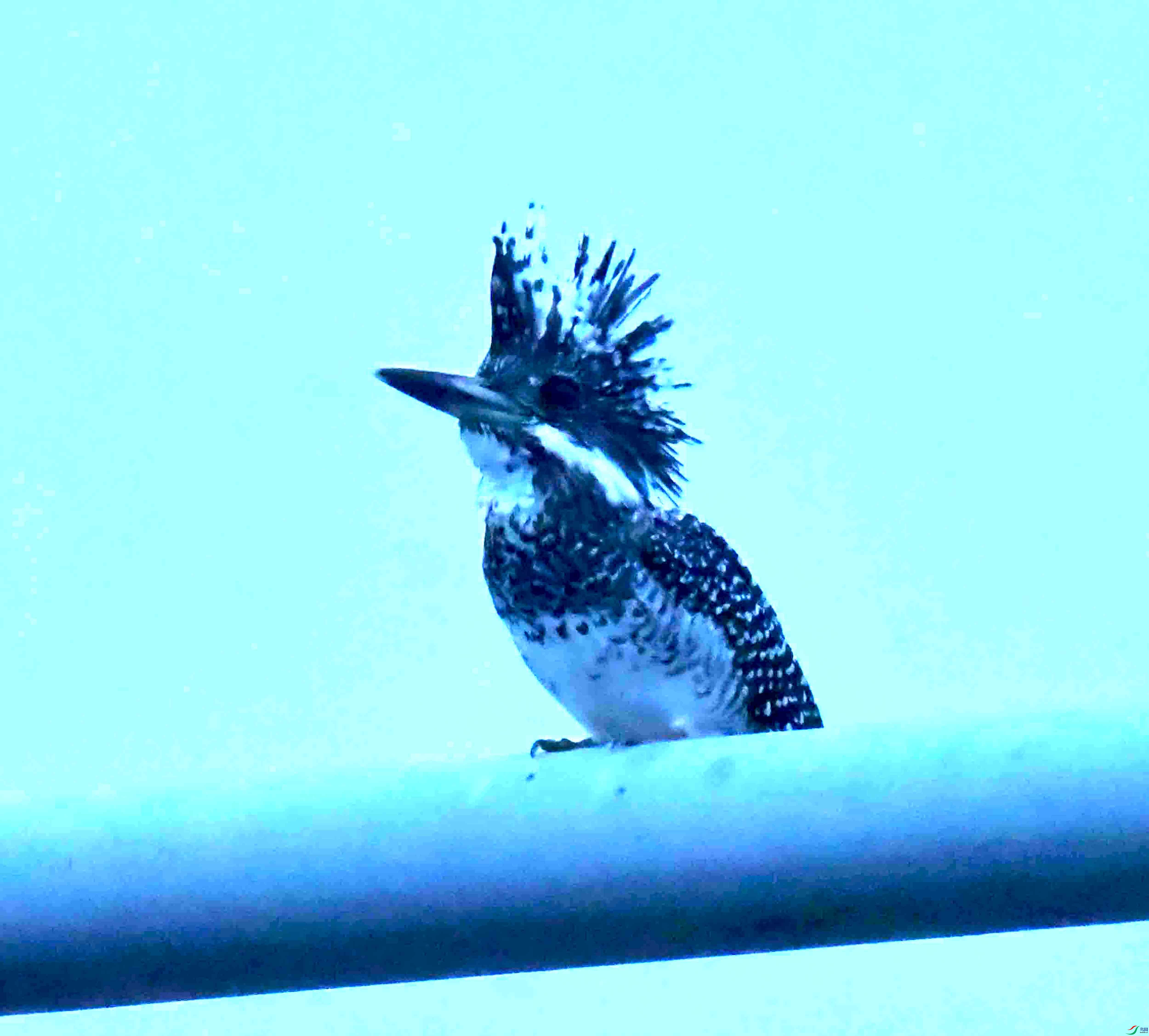 DSC_3001.JPG