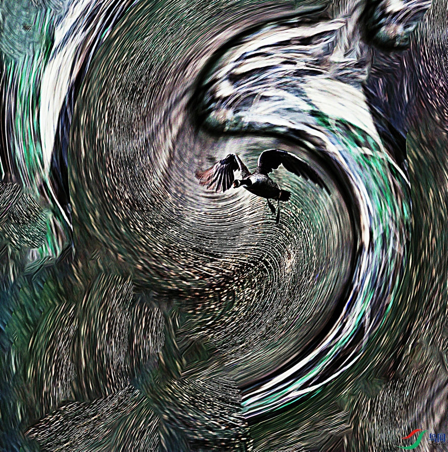 AQ1I4545_����_����1 ����_����_����.jpg