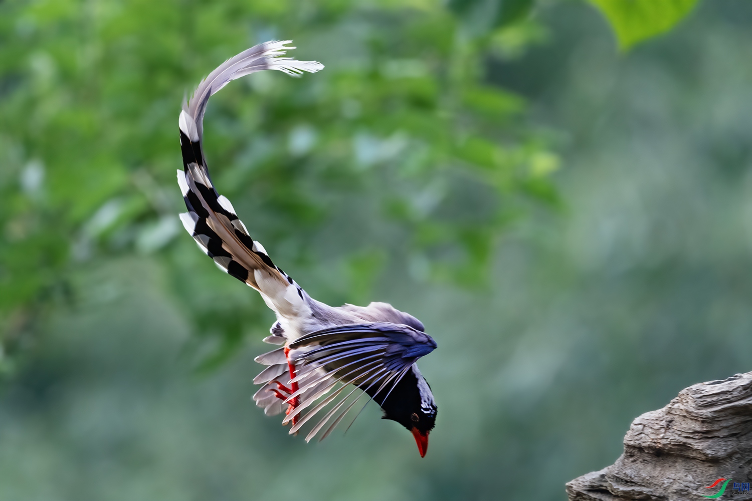 DSC_2023-2.jpg