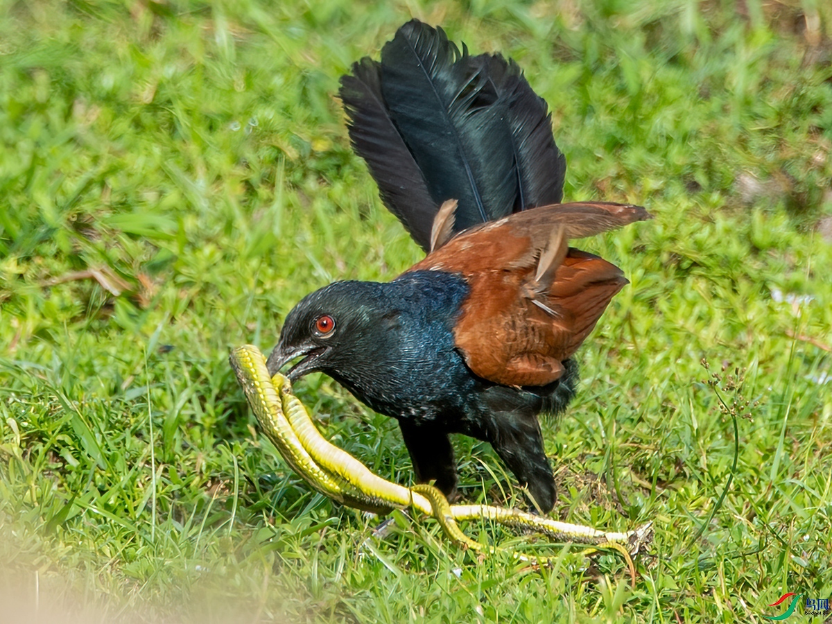 DSC_1121-3.jpg