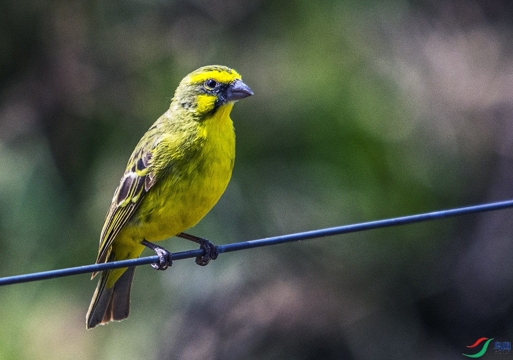 DSC_1251.jpg