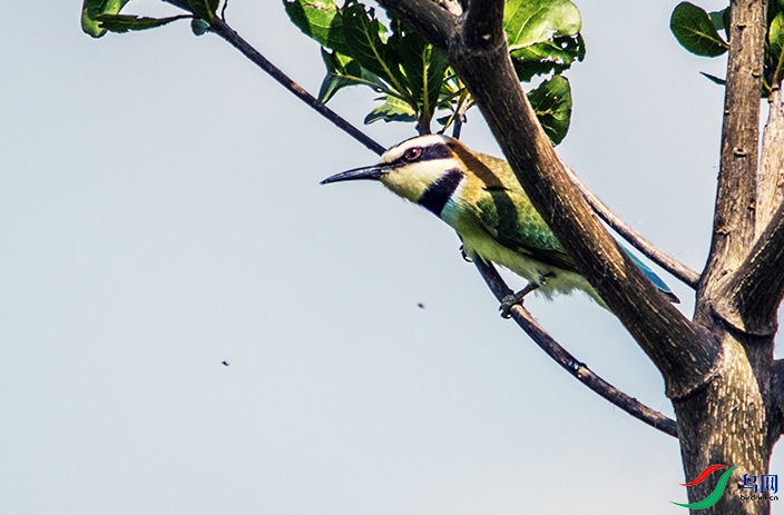 DSC_9905.jpg
