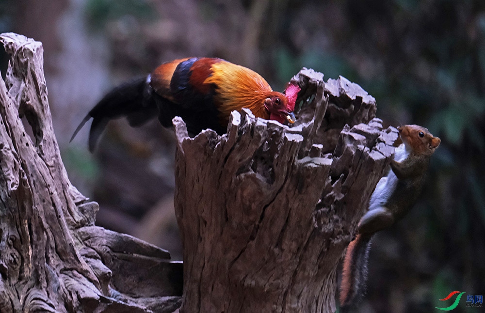 DSCF8949.1.jpg