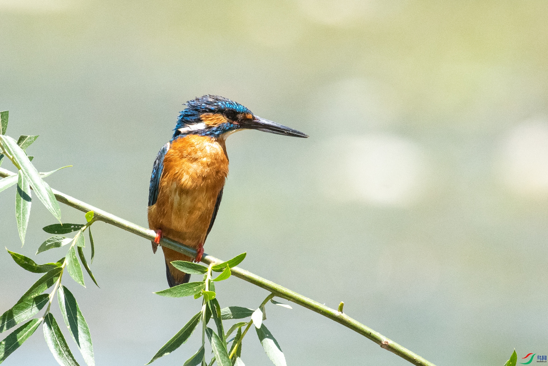 DSC_7611.jpg