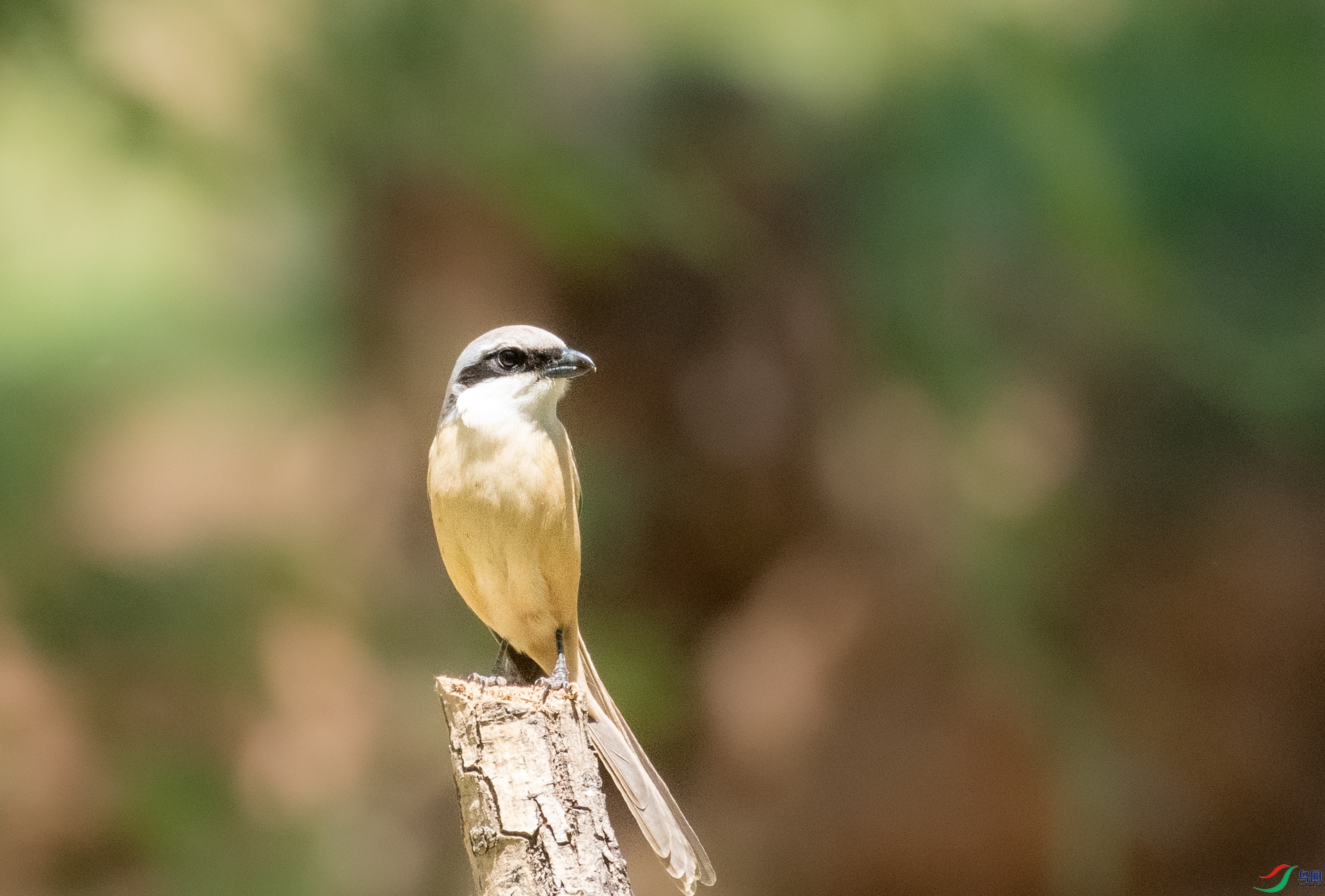 DSC_7815.jpg