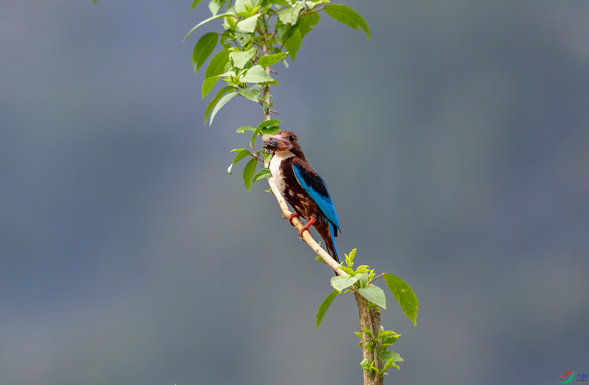 DSC_8116.jpg