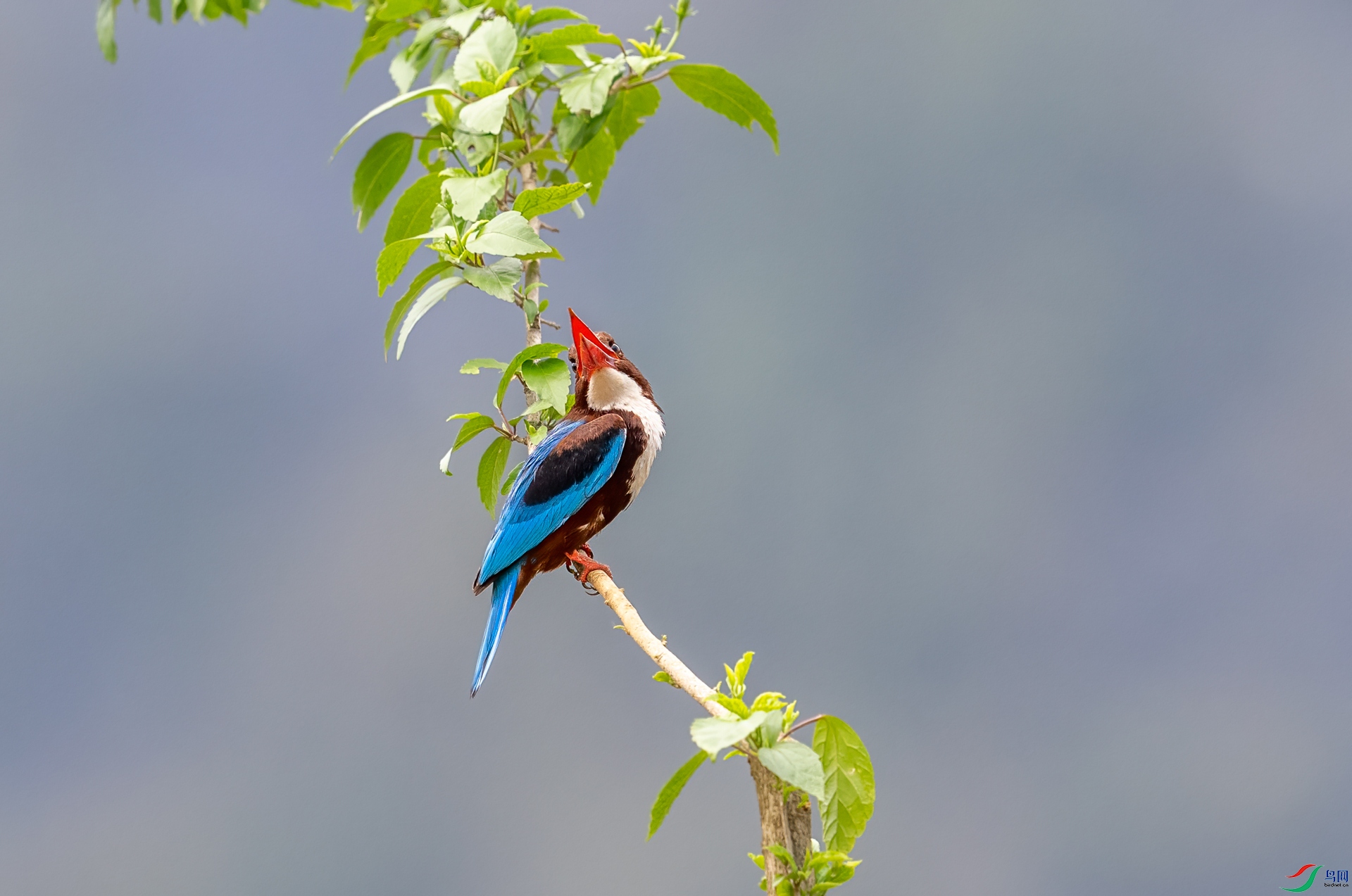 DSC_8214.jpg