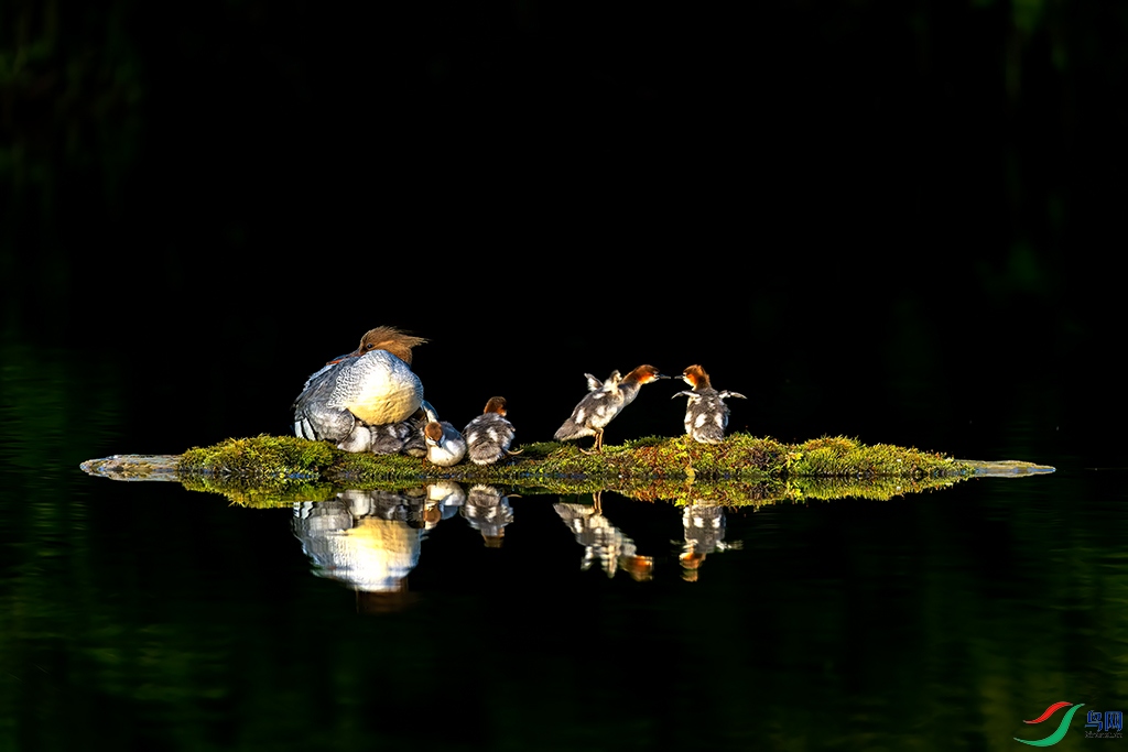 jlmjR230605 (154)_DxO.jpg