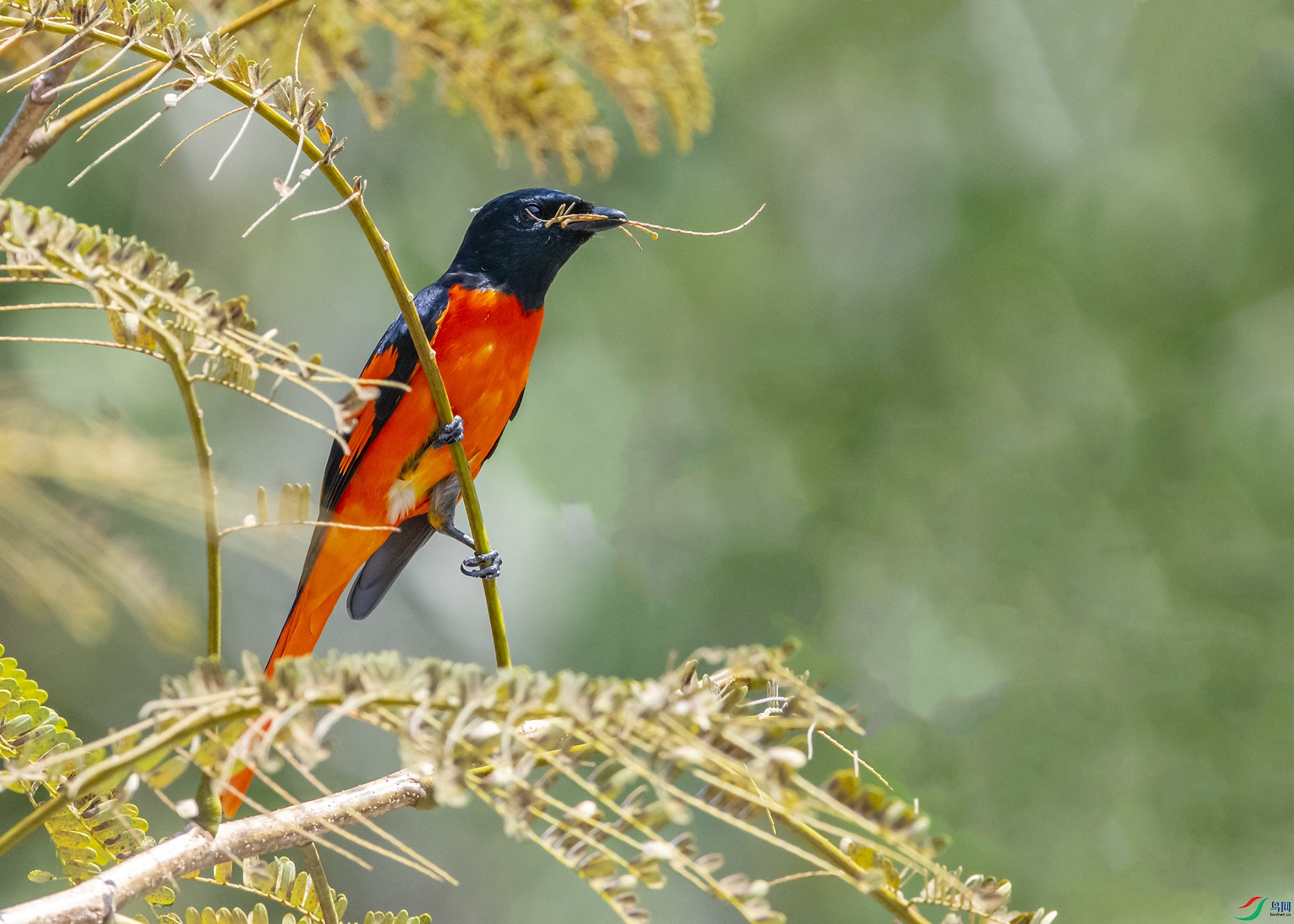 3723 ����.jpg