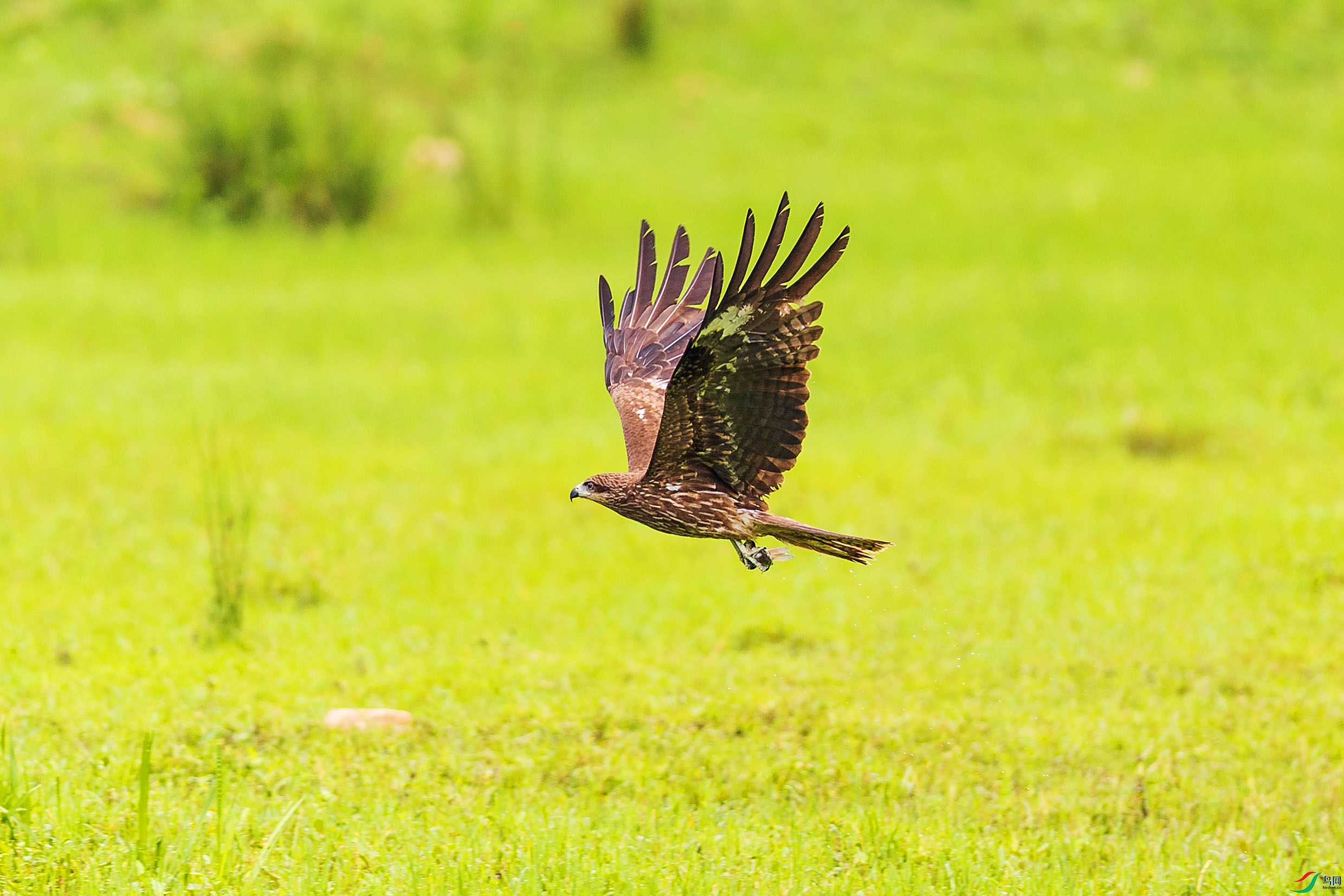 063A7083.jpgb1.jpg