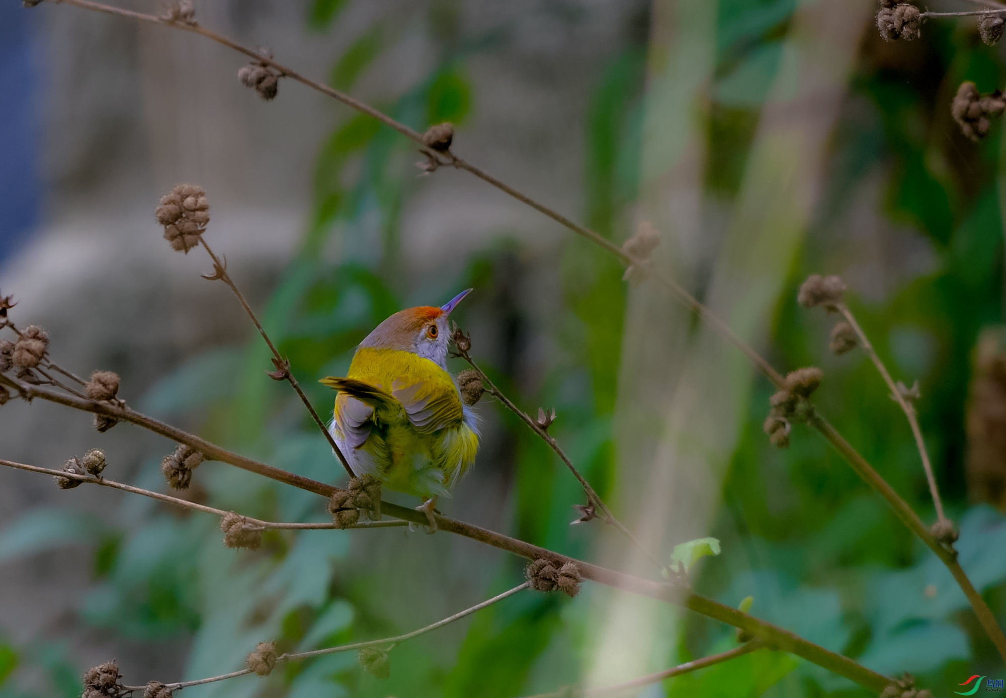 DSC_4004.JPG