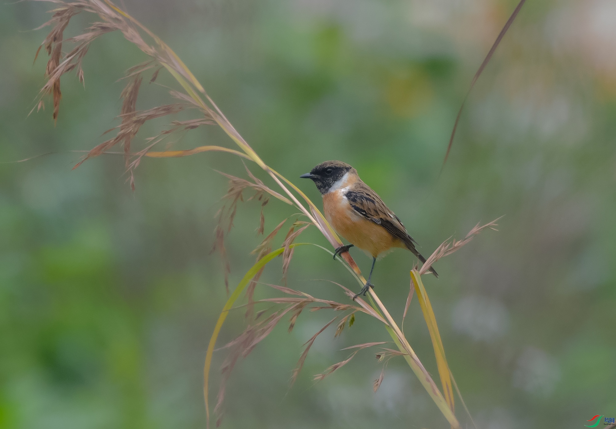 DSC_4714.JPG