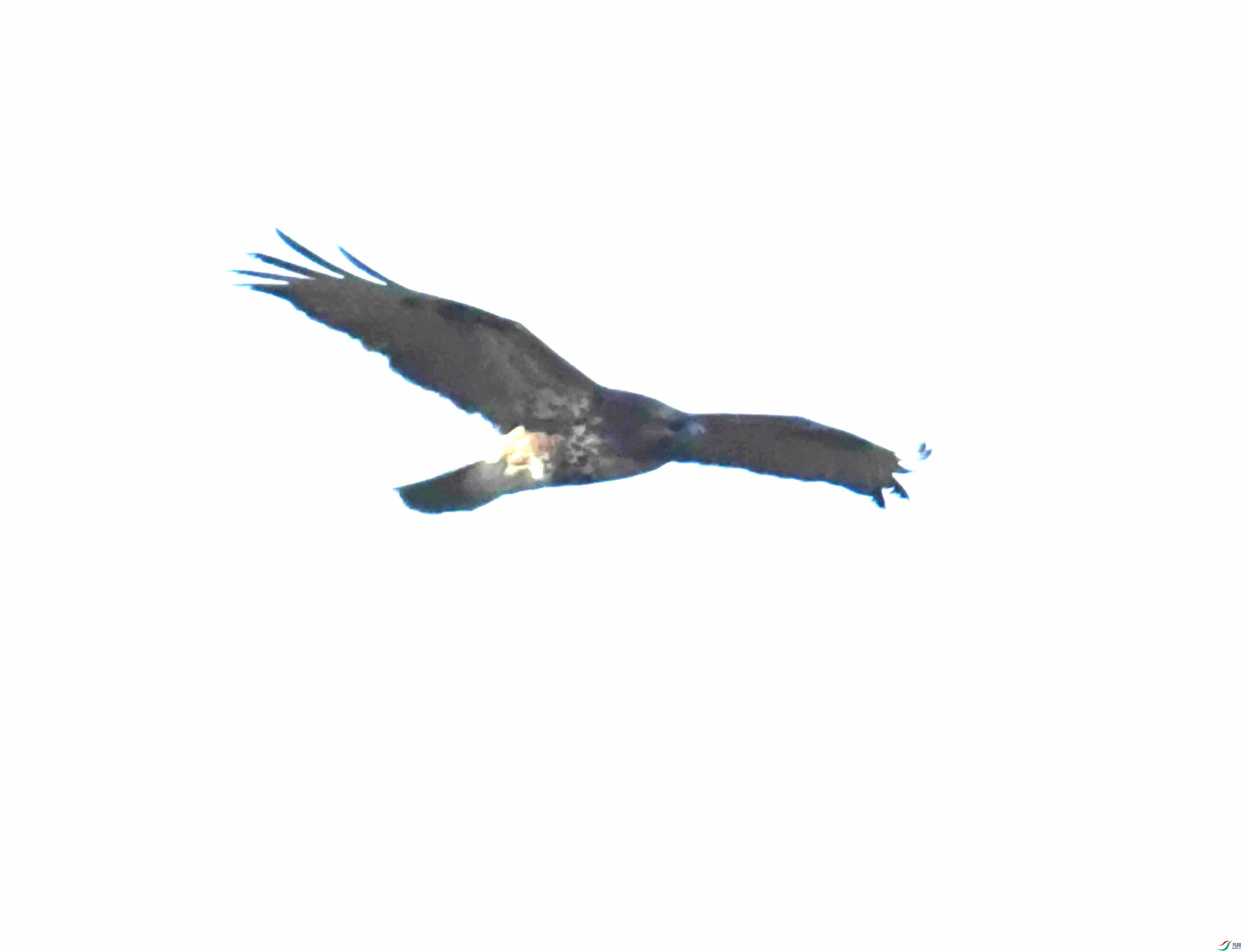 DSC_1101.JPG
