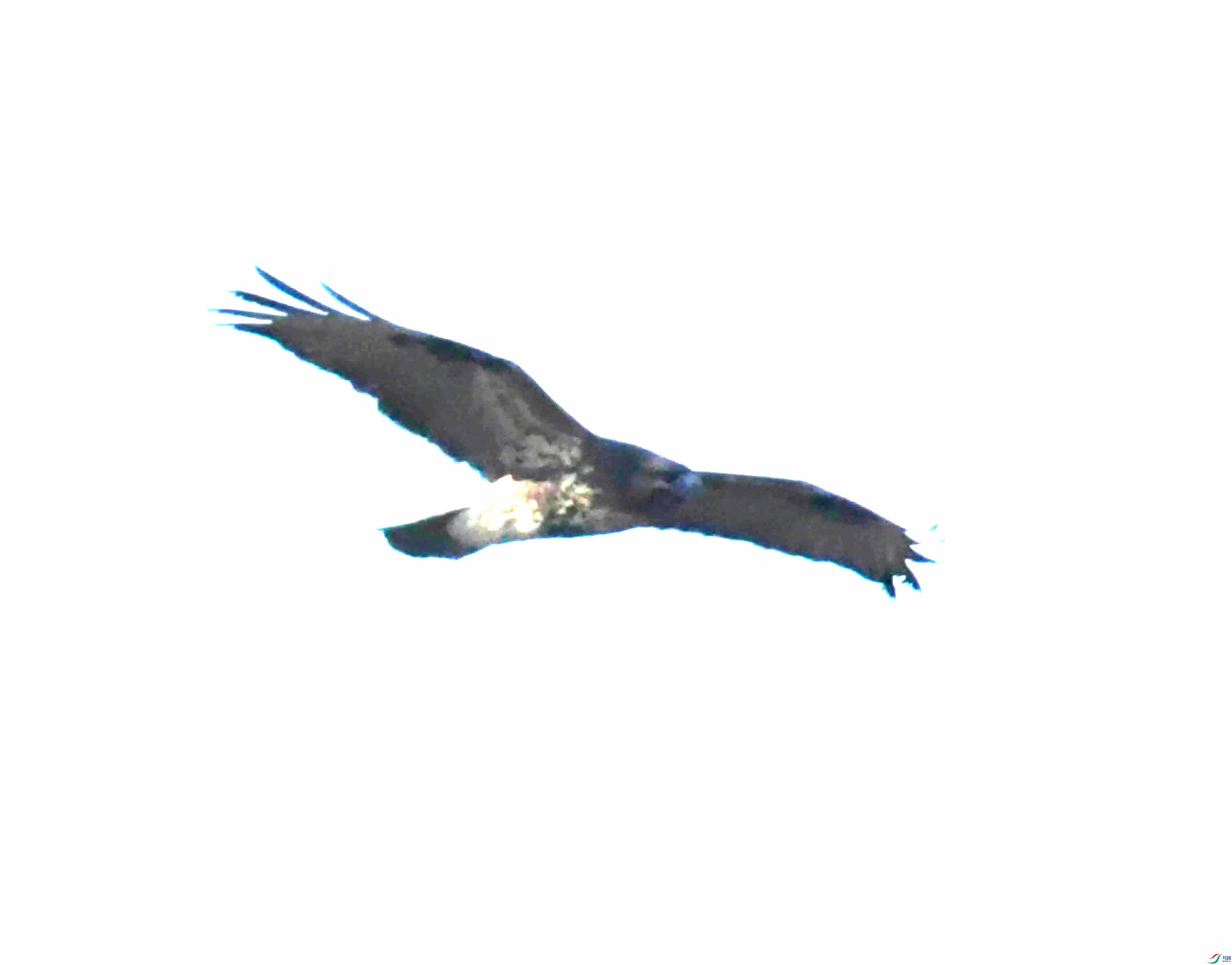 DSC_1100.JPG