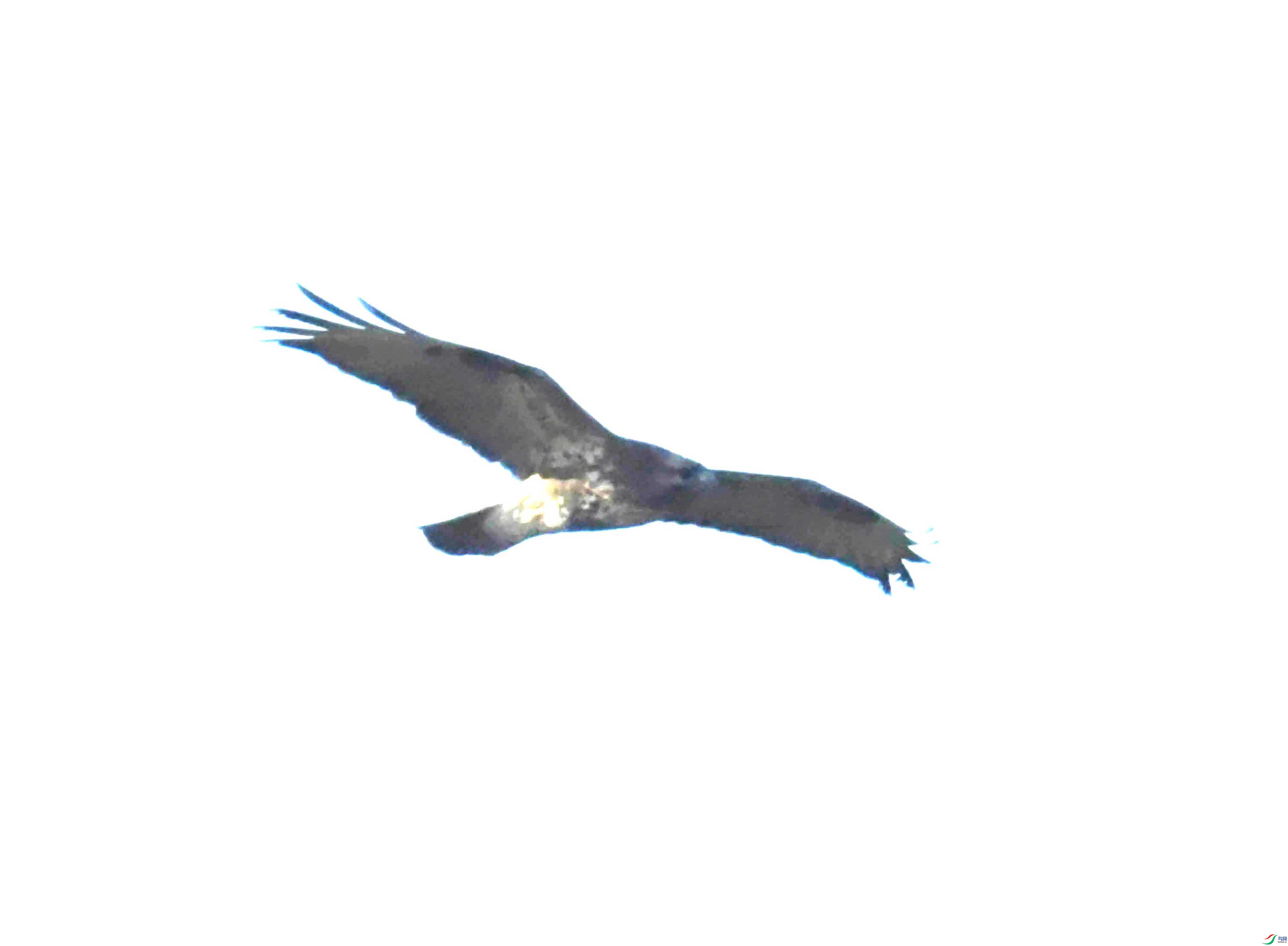 DSC_1099.JPG