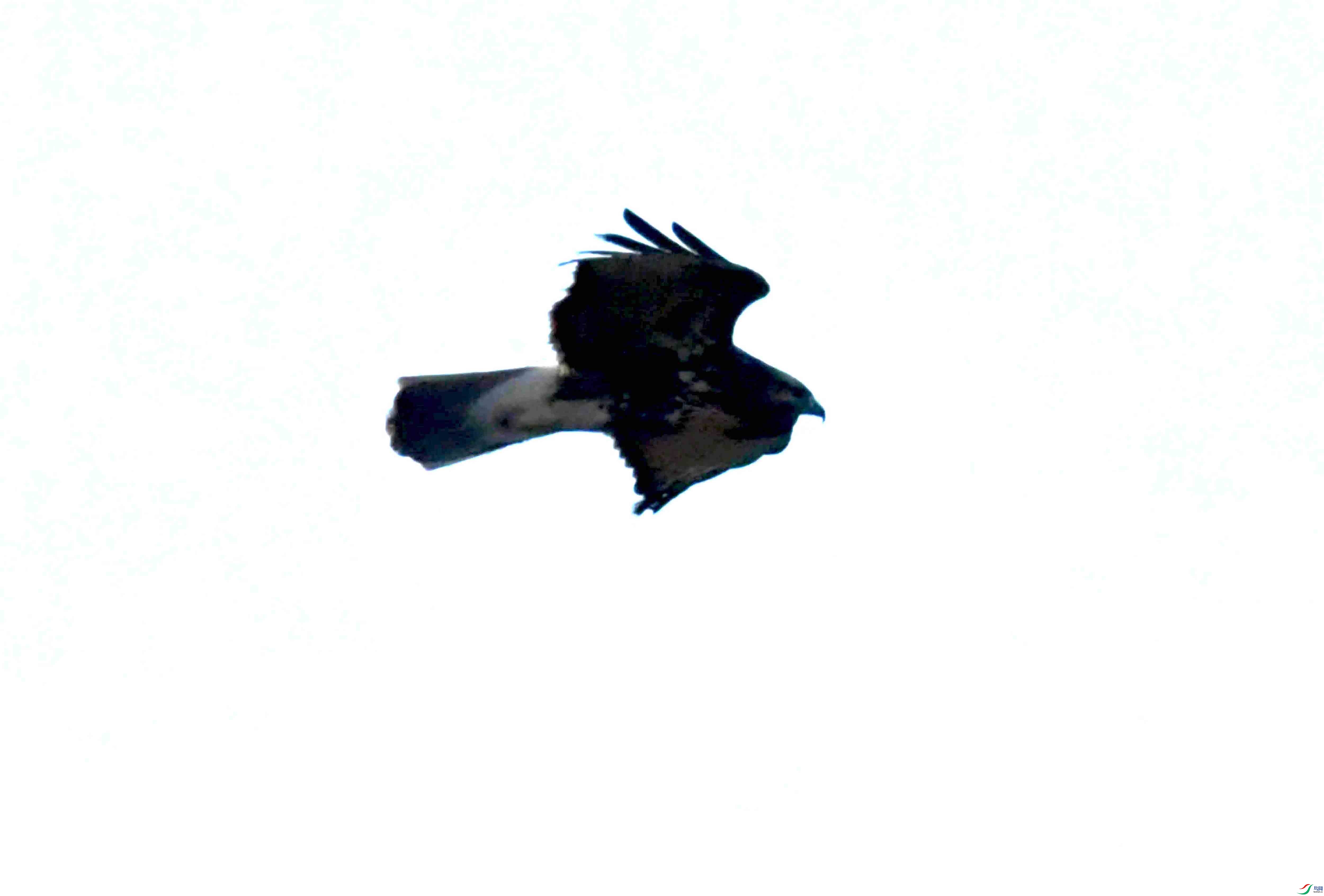 DSC_1104.JPG