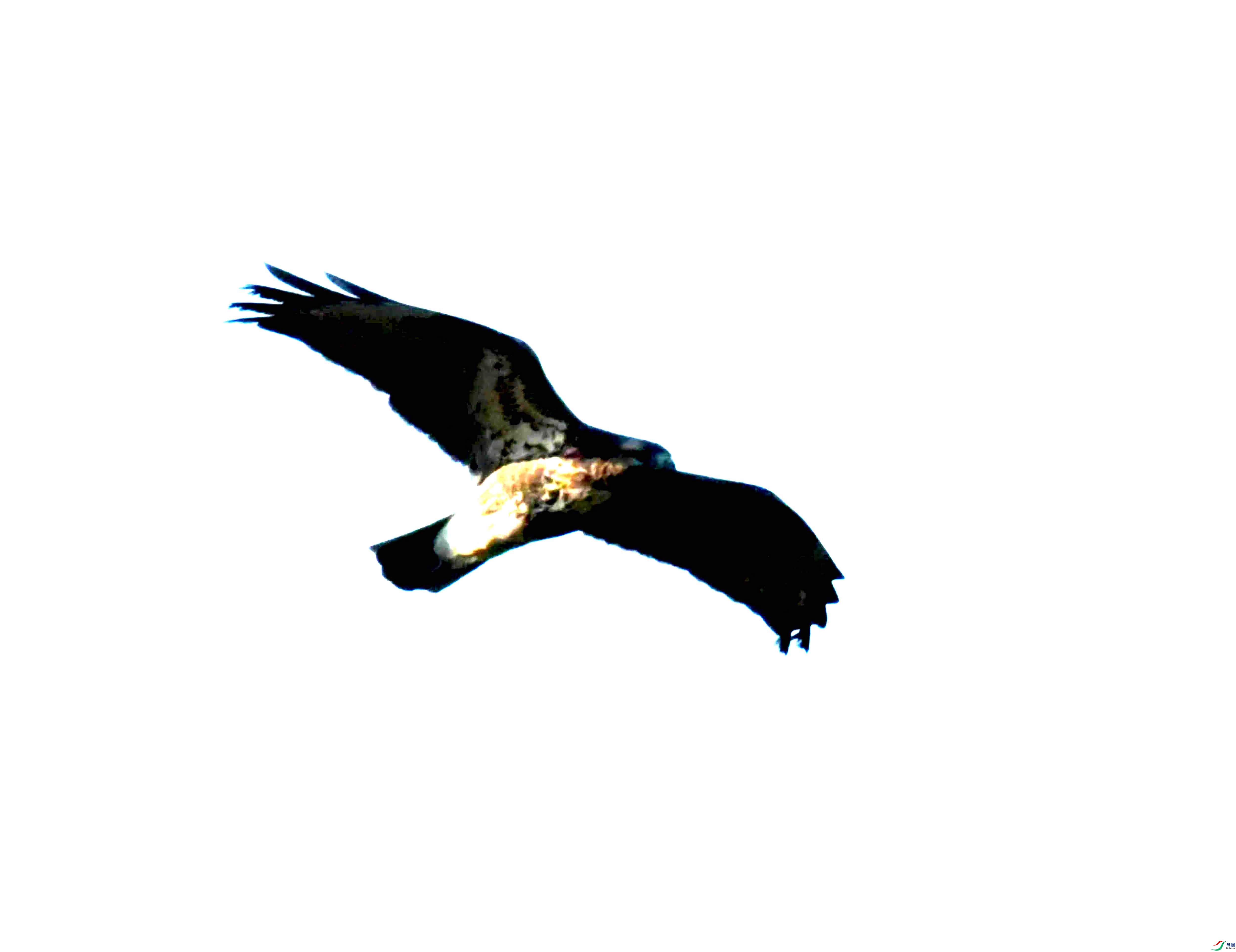 DSC_1112.JPG
