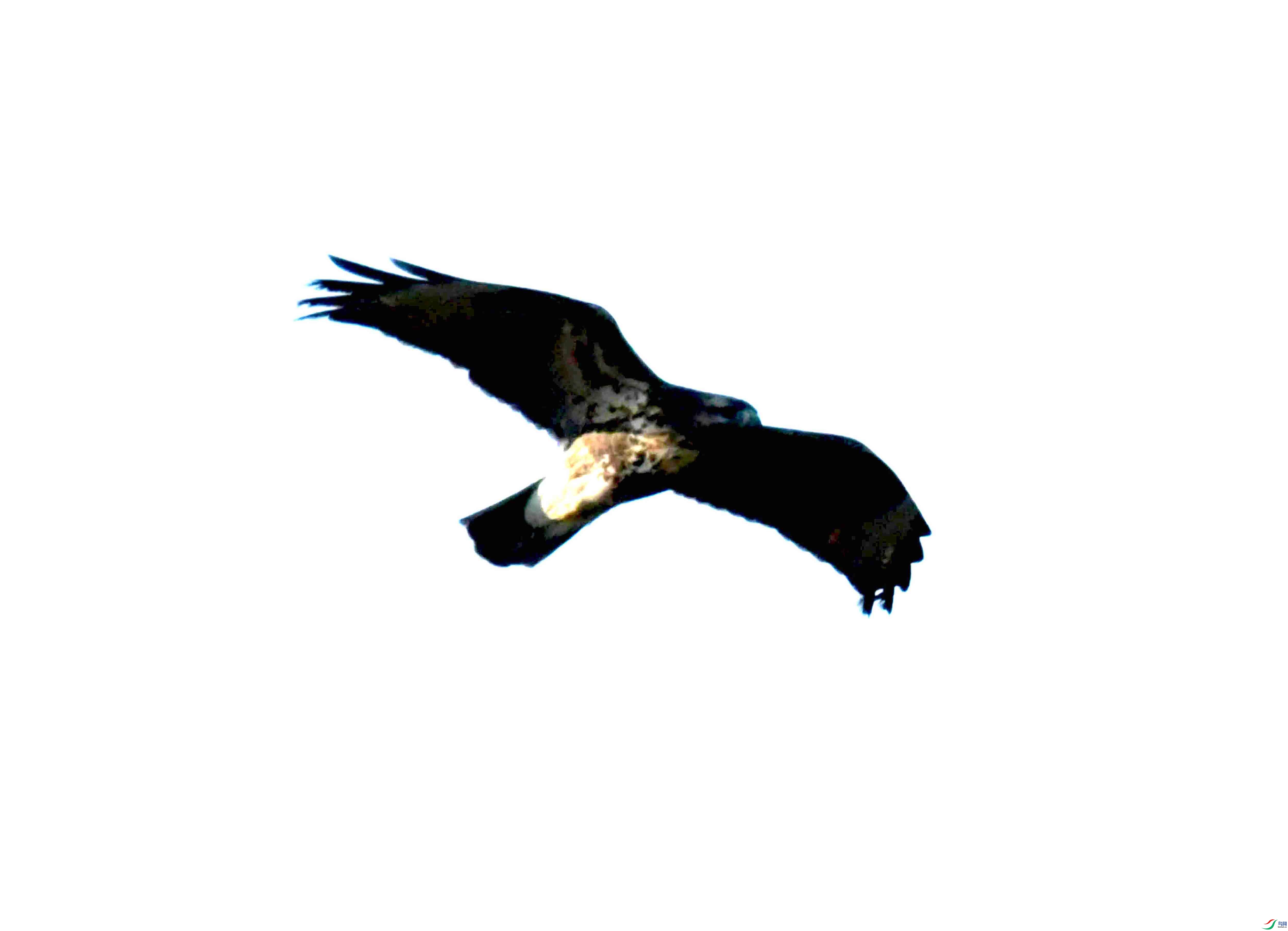 DSC_1111.JPG