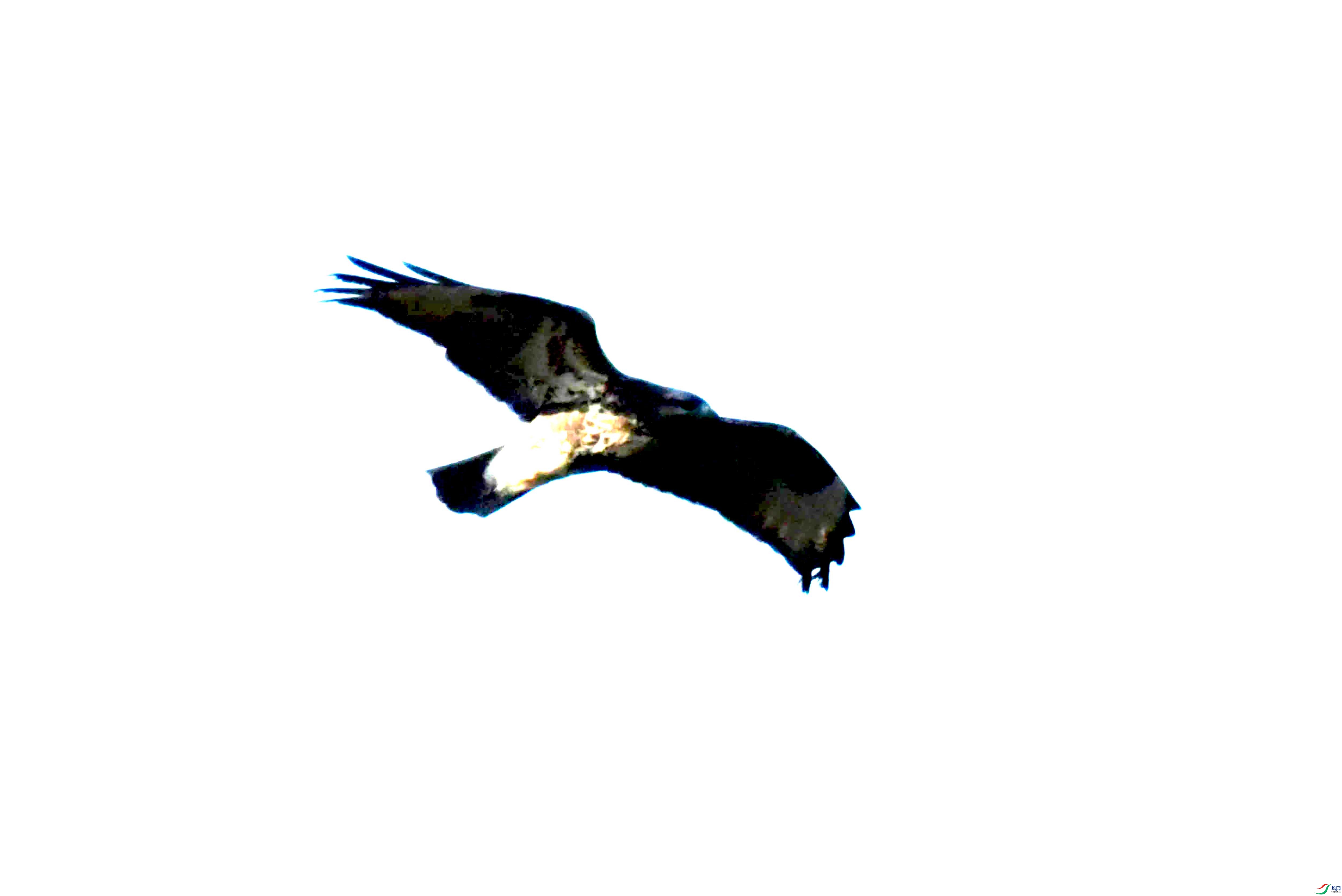 DSC_1113.JPG