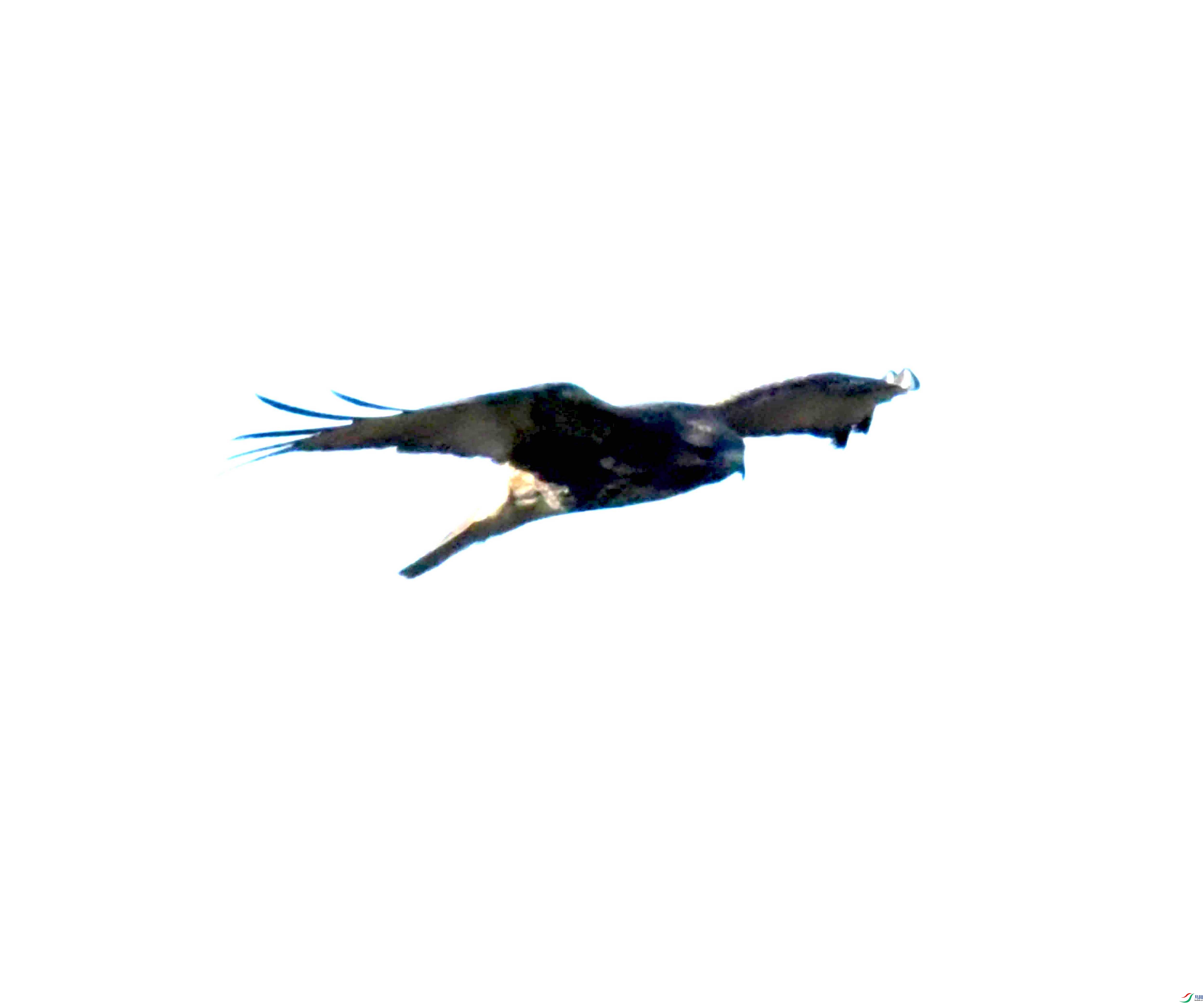DSC_1116.JPG