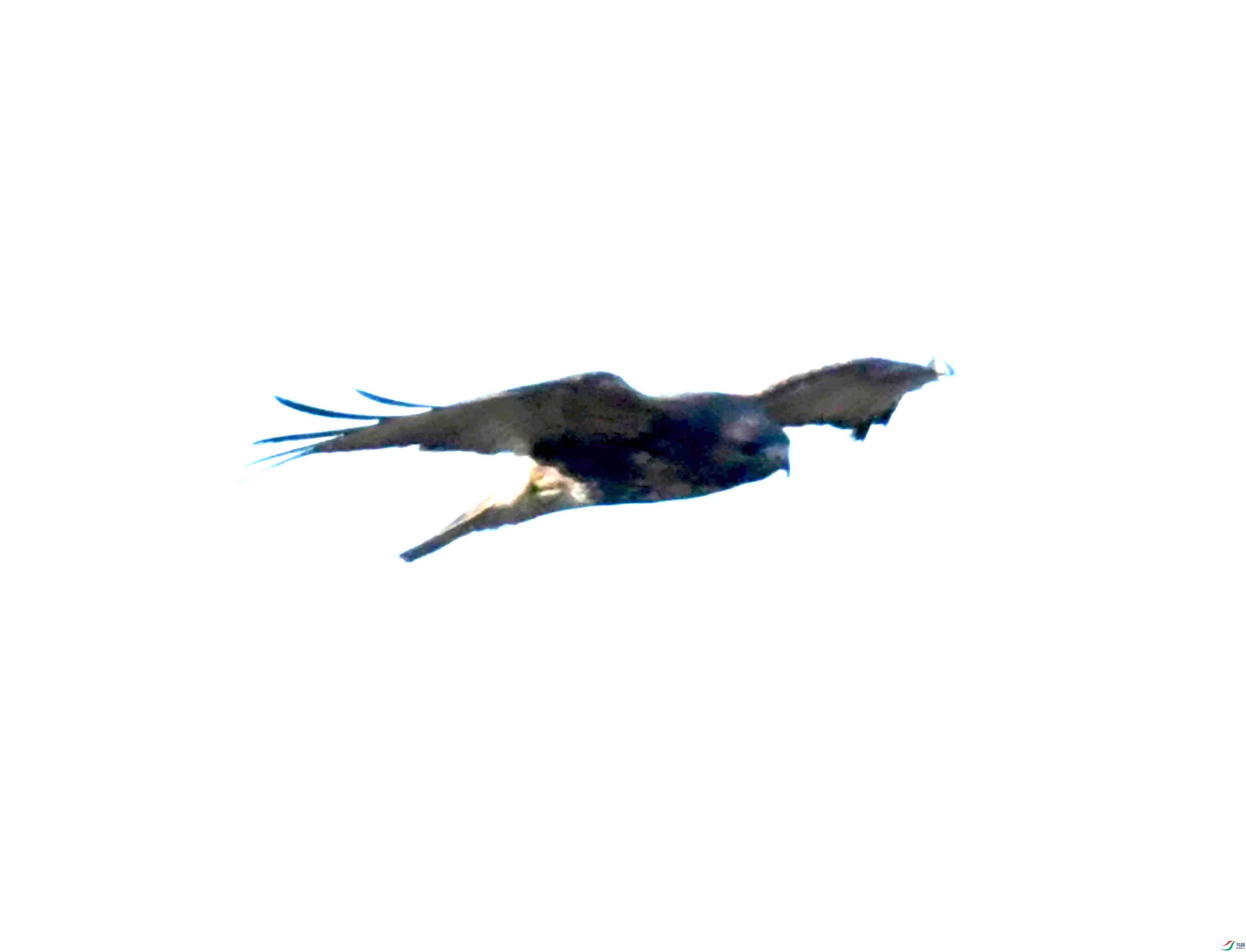 DSC_1115.JPG